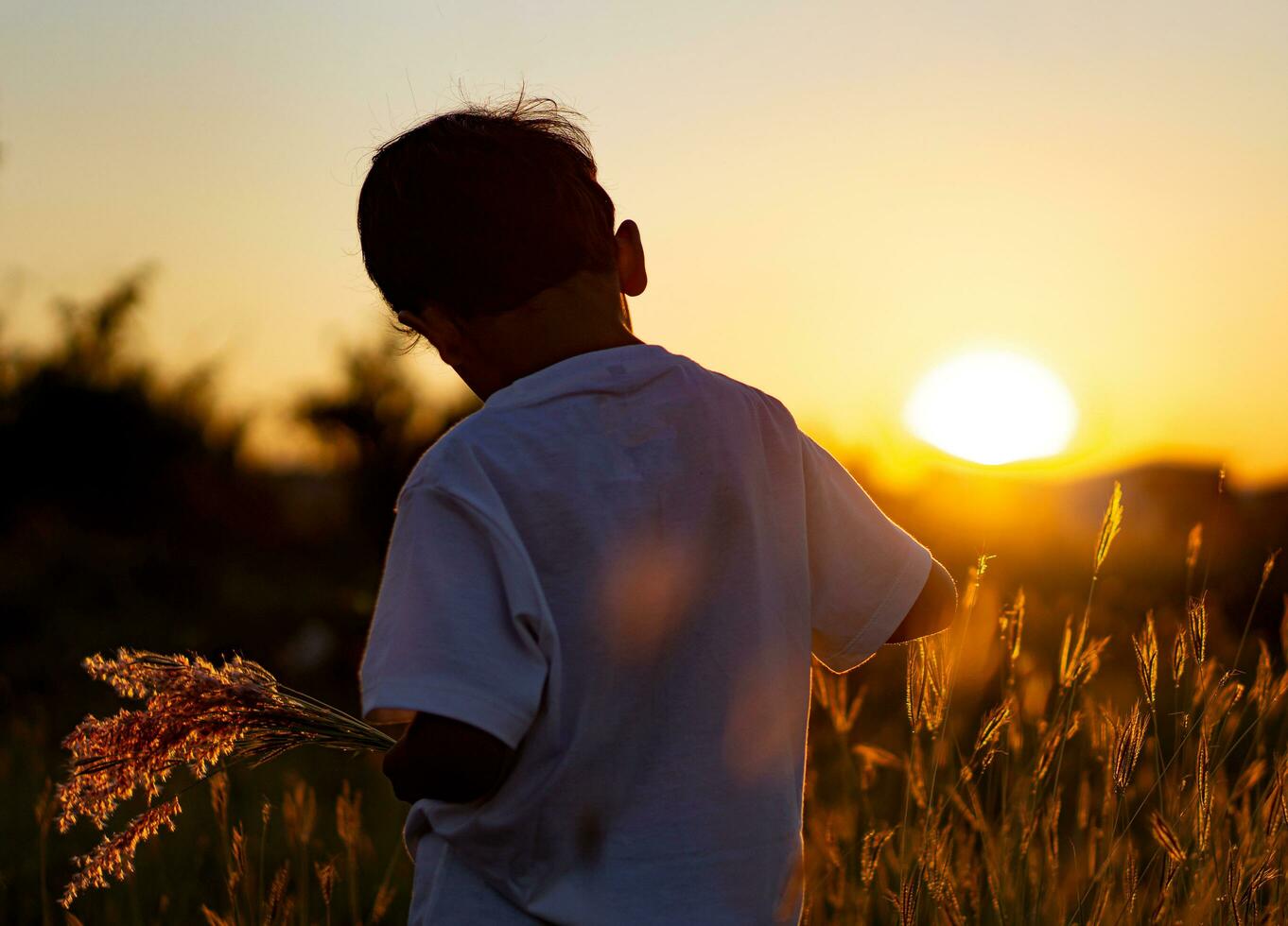 asiatisch Junge mit ein Blume Gras im das Abend beim Sonnenuntergang. foto