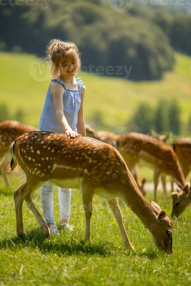 wenig Mädchen unter Rentier Herde auf das sonnig Tag foto