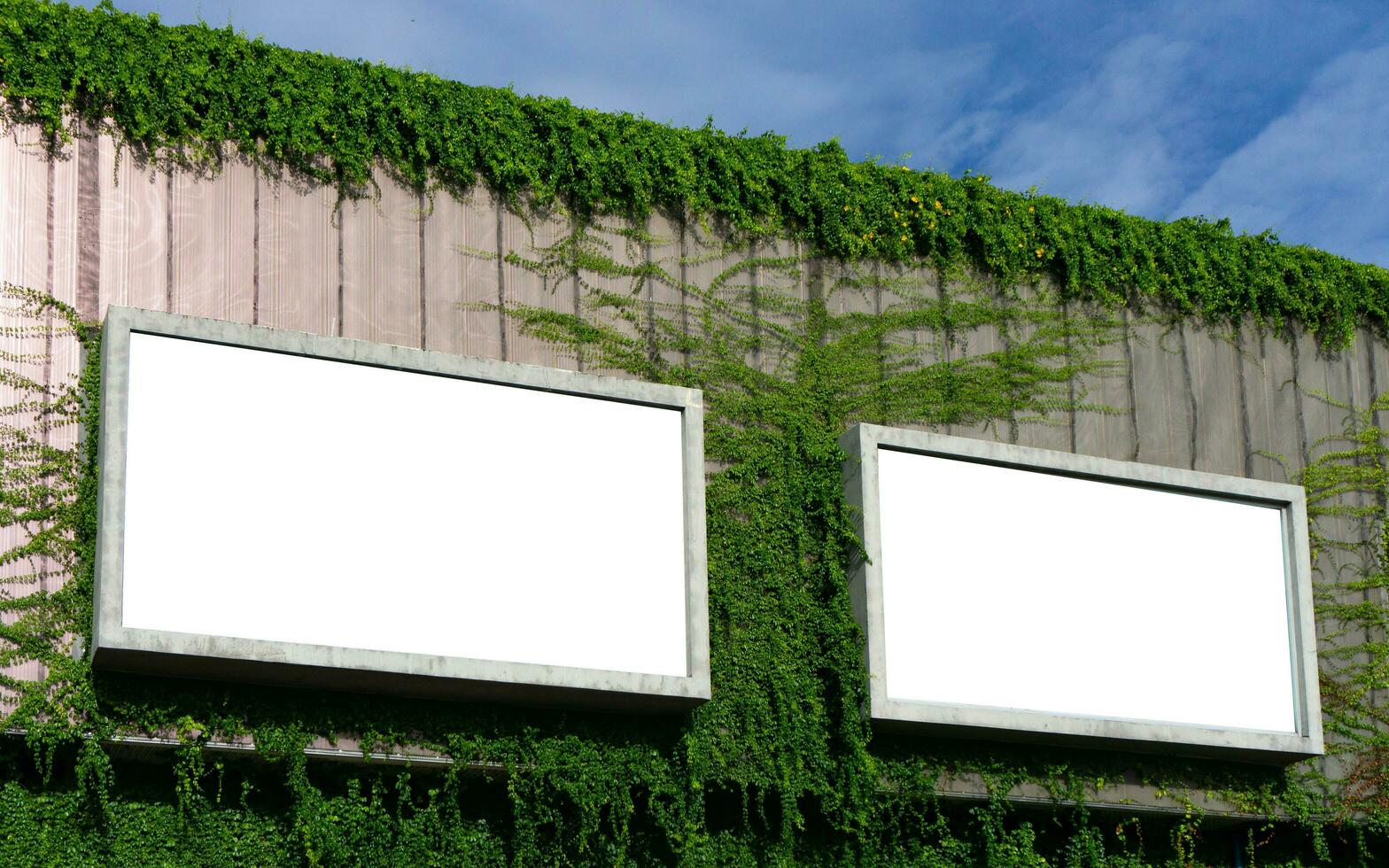 Weiß Plakatwand auf Frühling Sommer- Grün Blätter Hintergrund foto