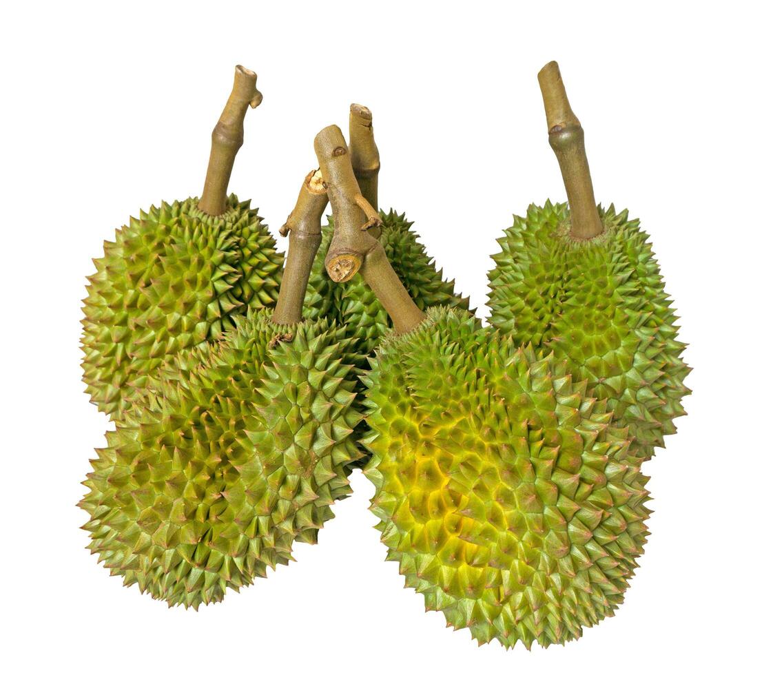 Durian isoliert auf weißem Hintergrund foto