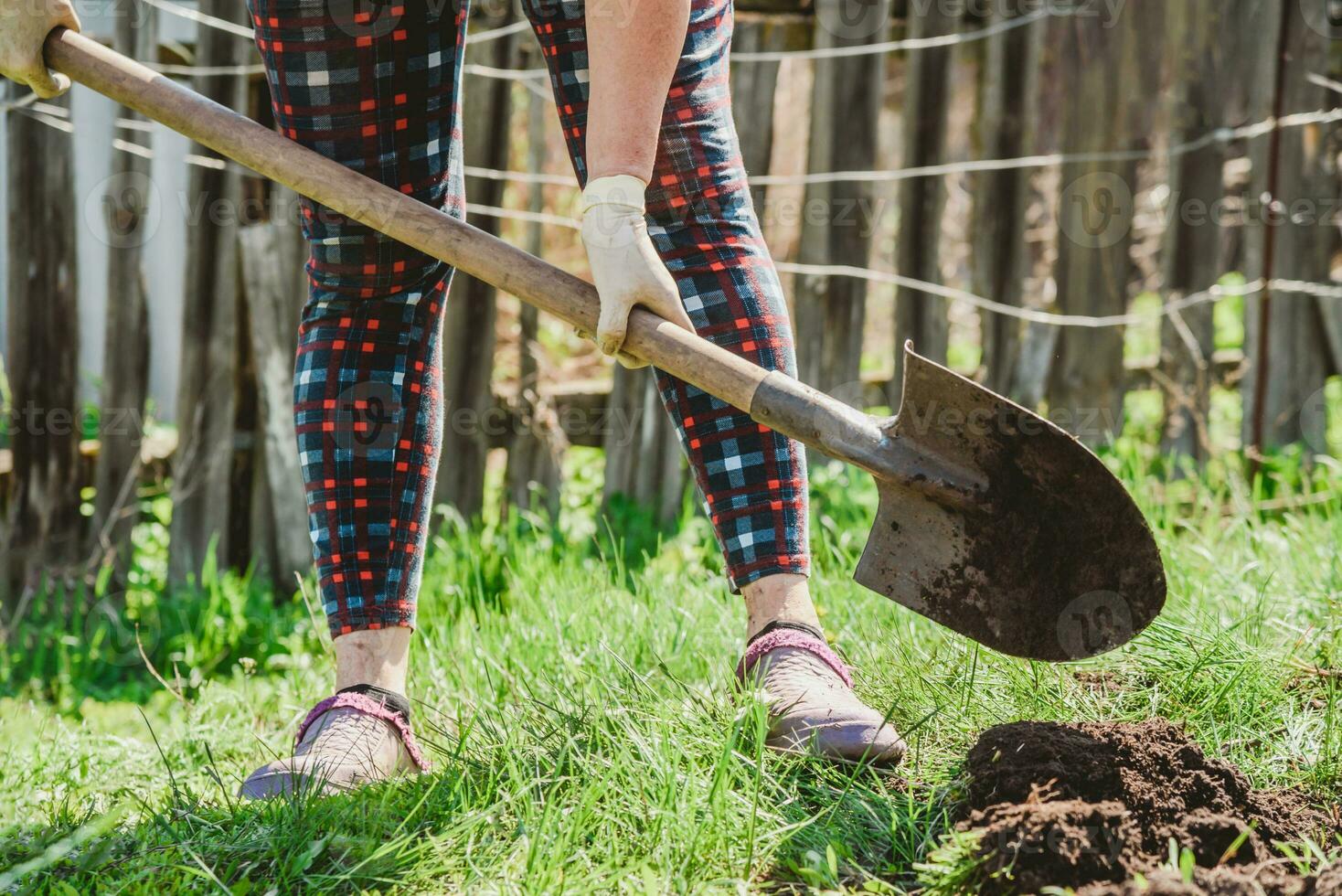 ein Alten Frau gräbt das Erde mit ein Schaufel im ihr Garten im das Dorf foto