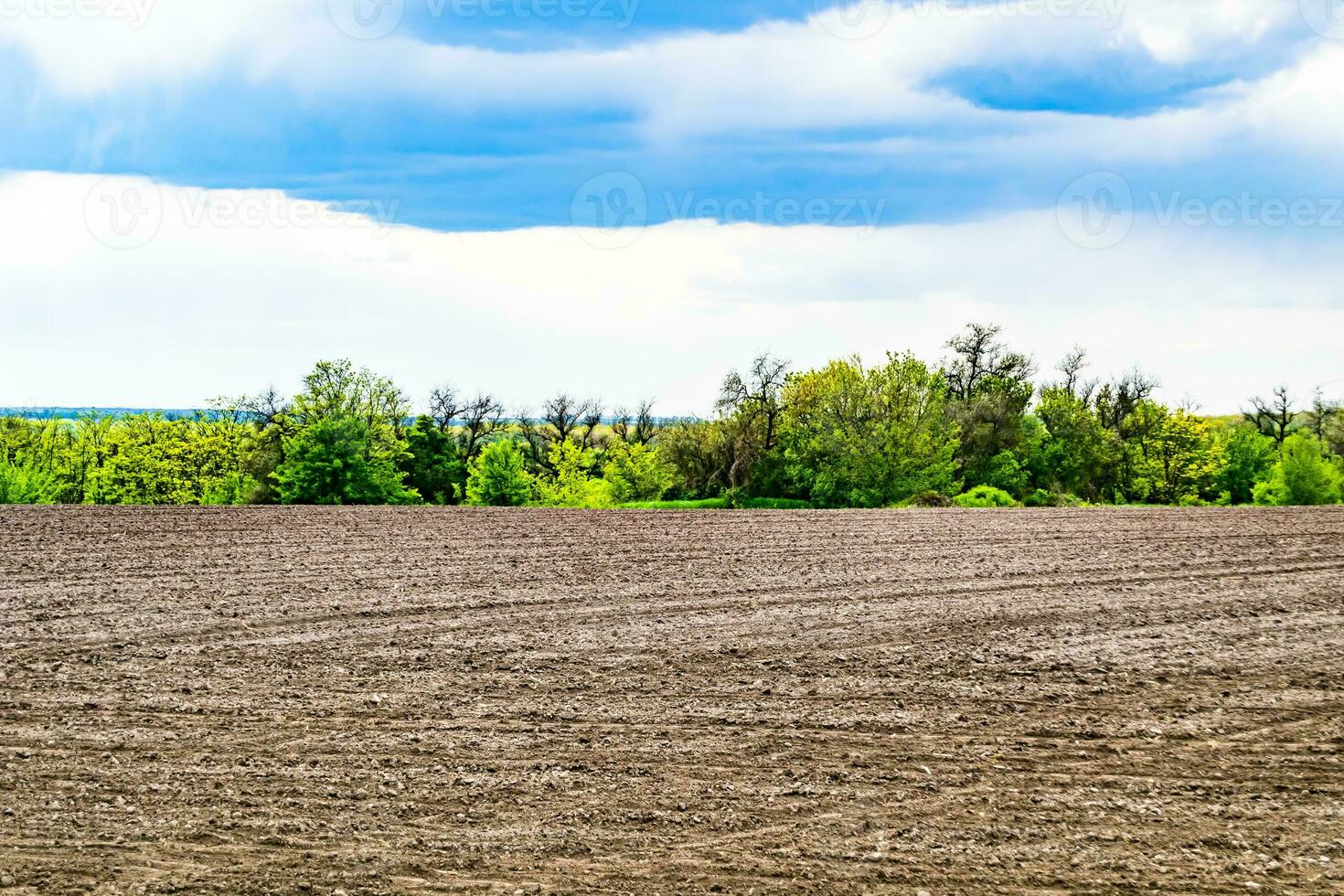 fotografie zum thema großes leeres bauernhoffeld für die organische ernte foto