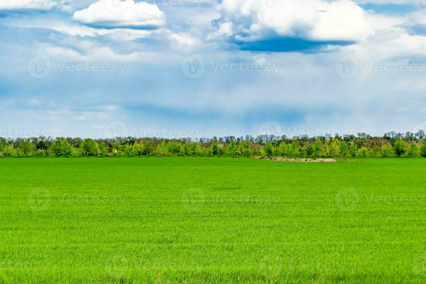 schöne horizontlandschaft in der dorfwiese auf natürlichem farbhintergrund foto