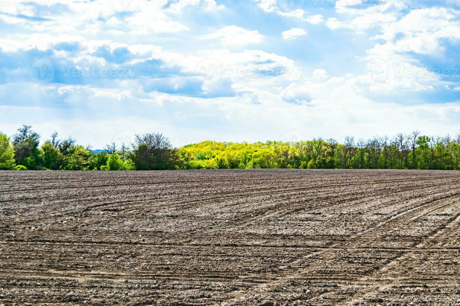 fotografie zum thema großes leeres bauernhoffeld für die organische ernte foto