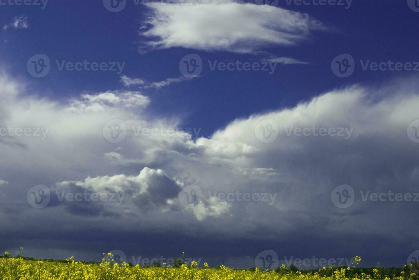 vergewaltigen Frühling Landschaft foto