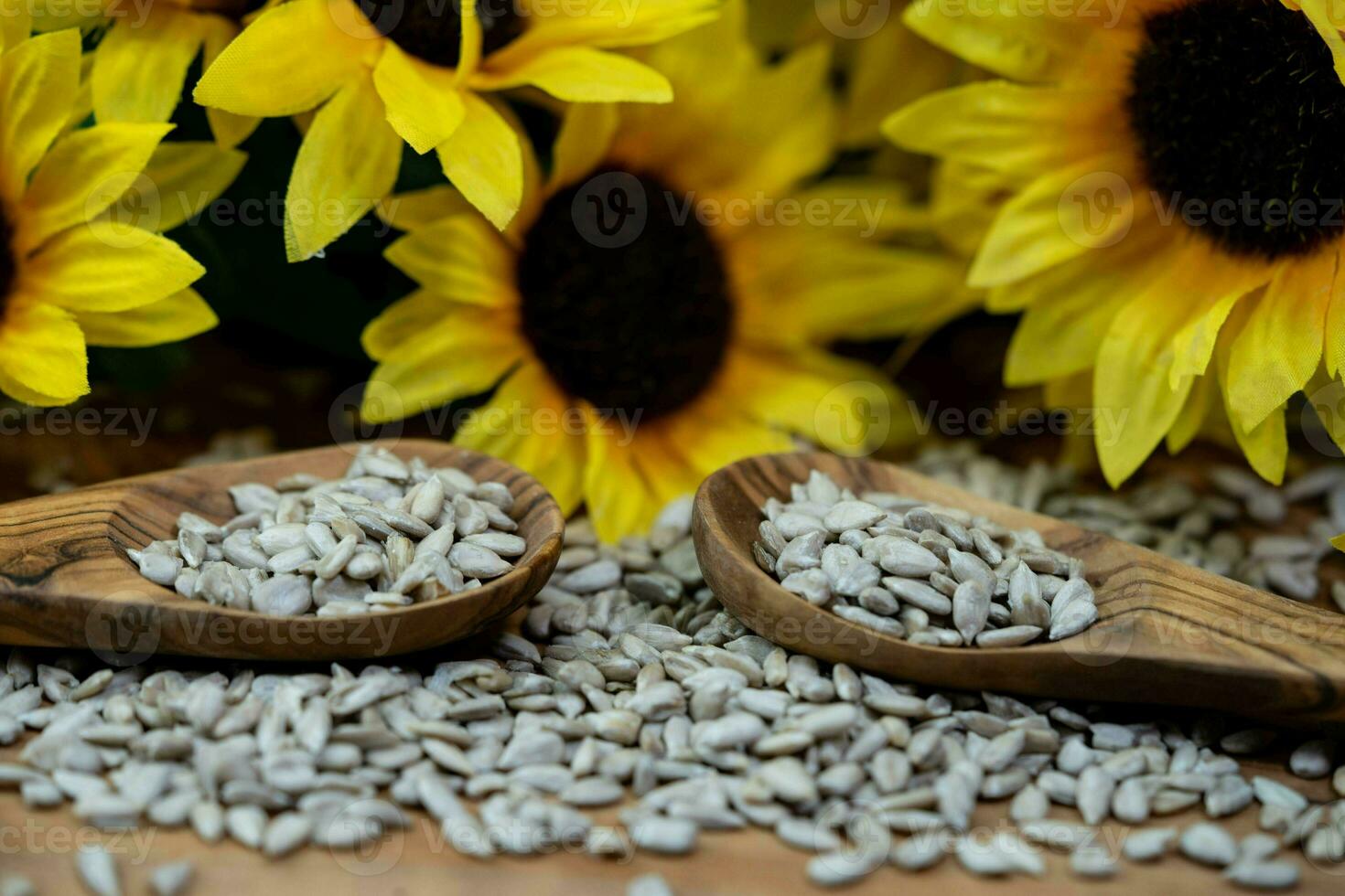 Sonnenblume Helianthus annuus Saat auf Olive Holz foto