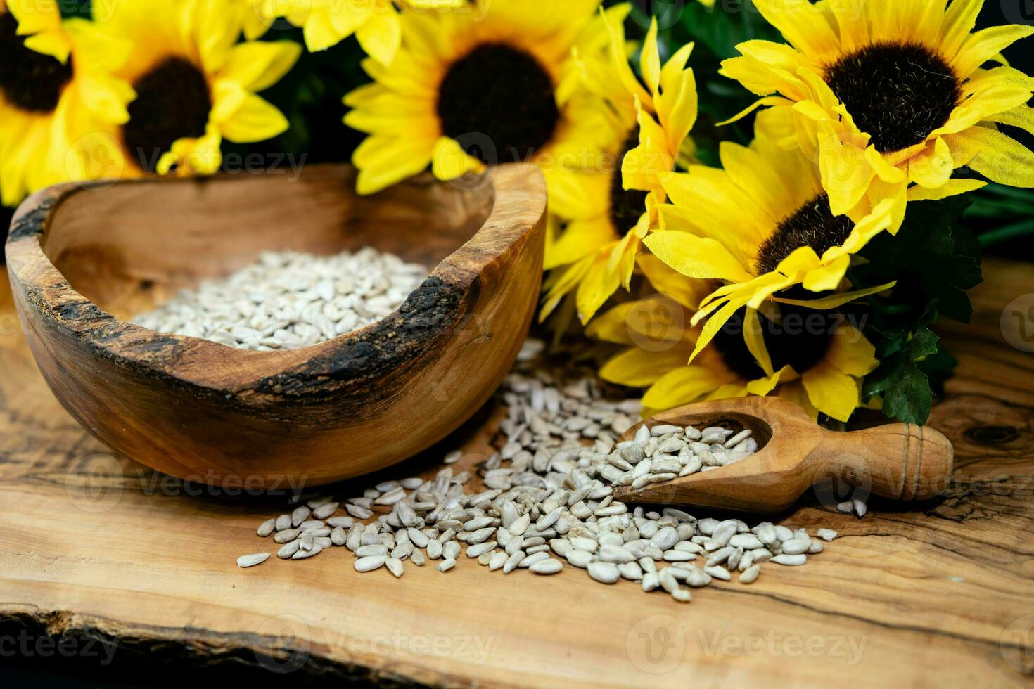 Sonnenblume Helianthus annuus Saat auf Olive Holz foto