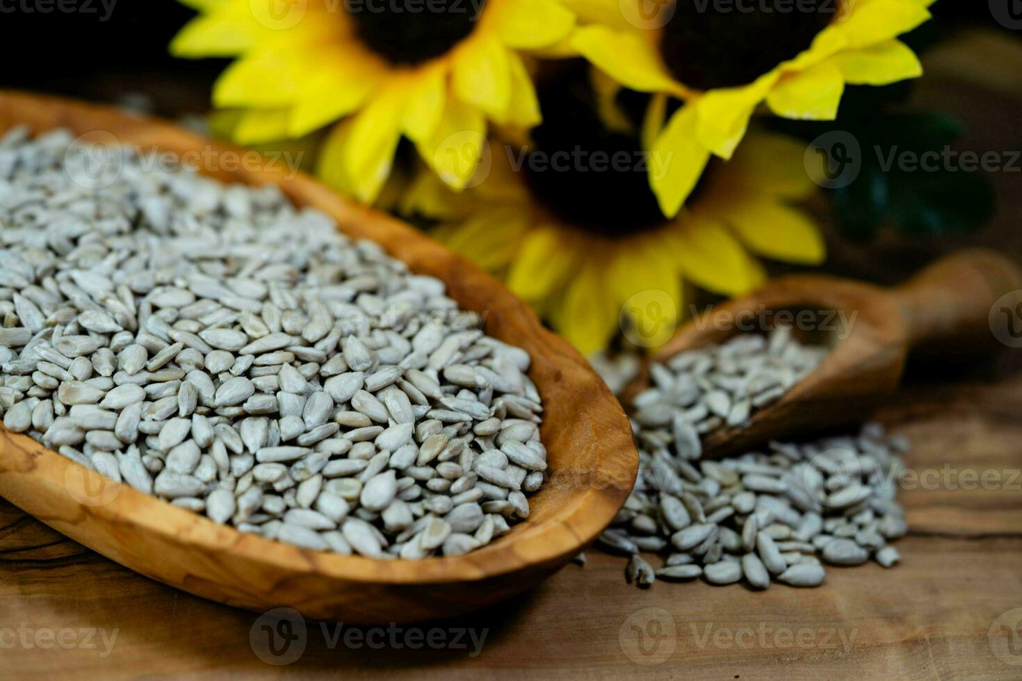 Sonnenblume Helianthus annuus Saat auf Olive Holz foto