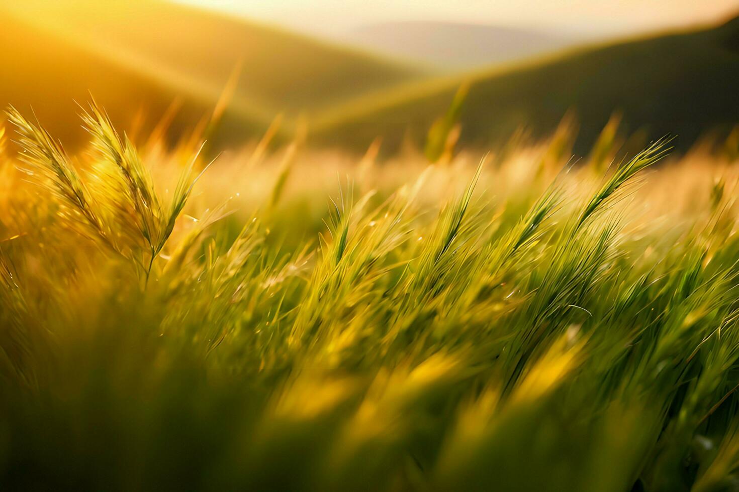 Pflanze schließen oben mit Grün und Tau Tropfen Hintergrund Bilder Hintergrund mit ai generiert foto