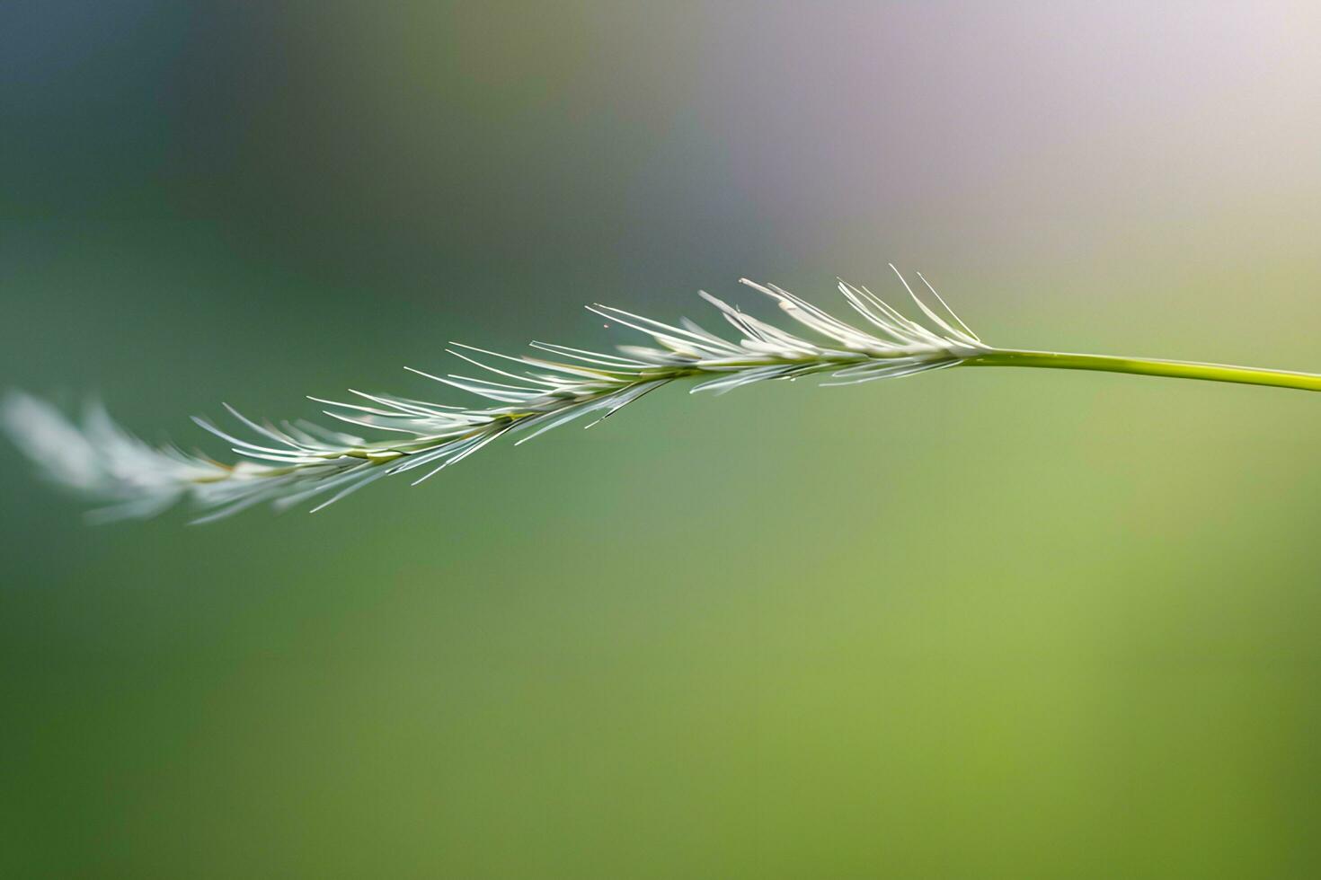 Pflanze schließen oben mit Grün und Tau Tropfen Hintergrund Bilder Hintergrund mit ai generiert foto