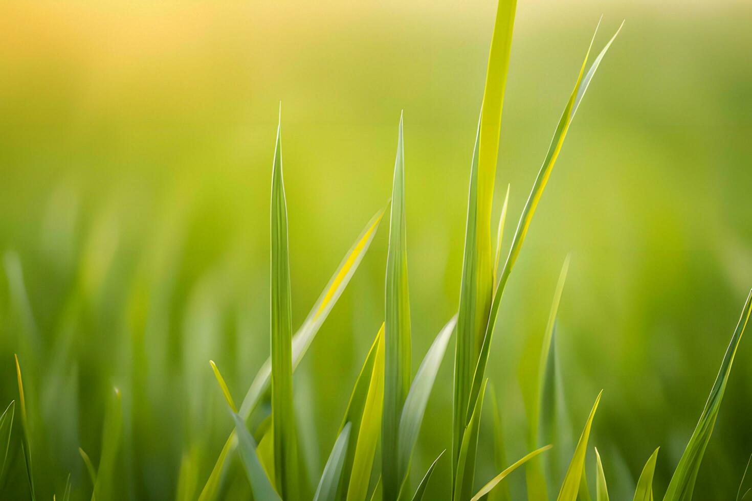 Pflanze schließen oben mit Grün und Tau Tropfen Hintergrund Bilder Hintergrund mit ai generiert foto