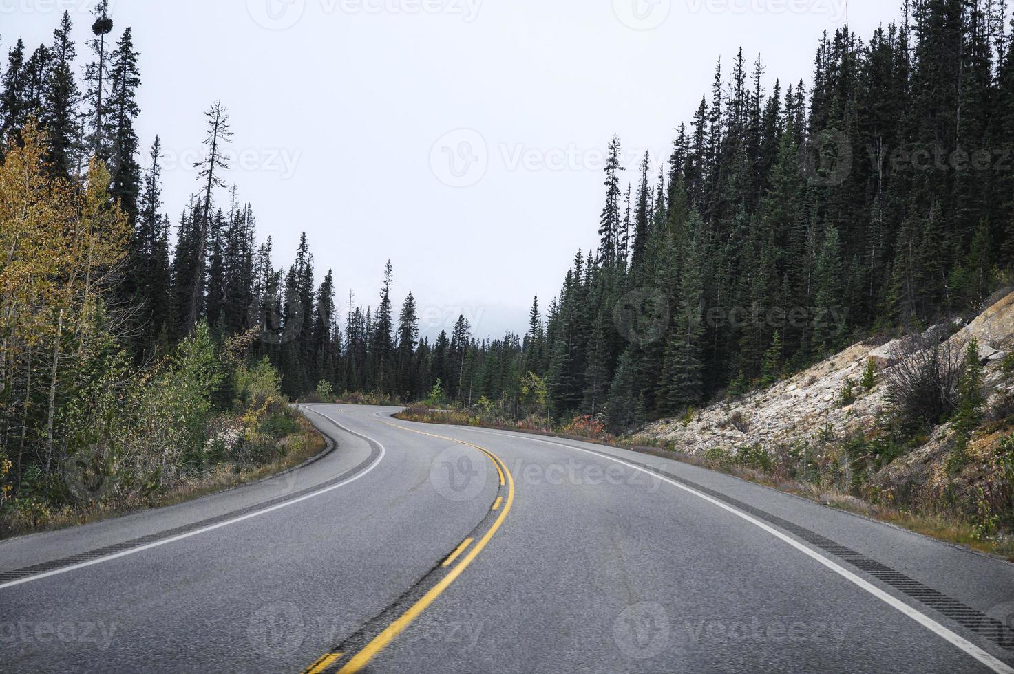 Autobahn Asphaltstraße im Kiefernwald bei bedecktem Himmel im Nationalpark foto