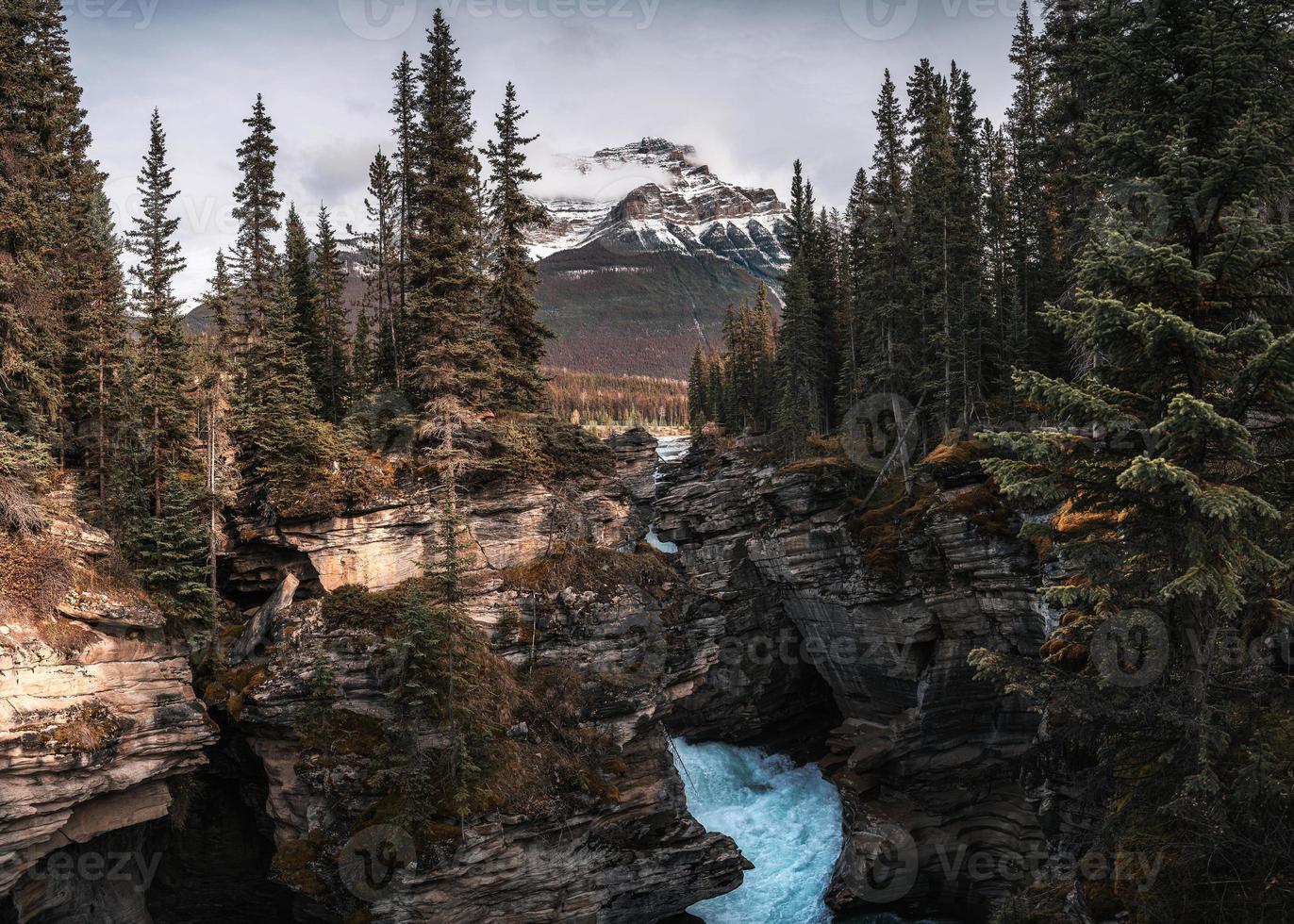 Athabasca fällt in eine Schlucht mit felsigen Bergen im Herbstwald im Jasper-Nationalpark? foto