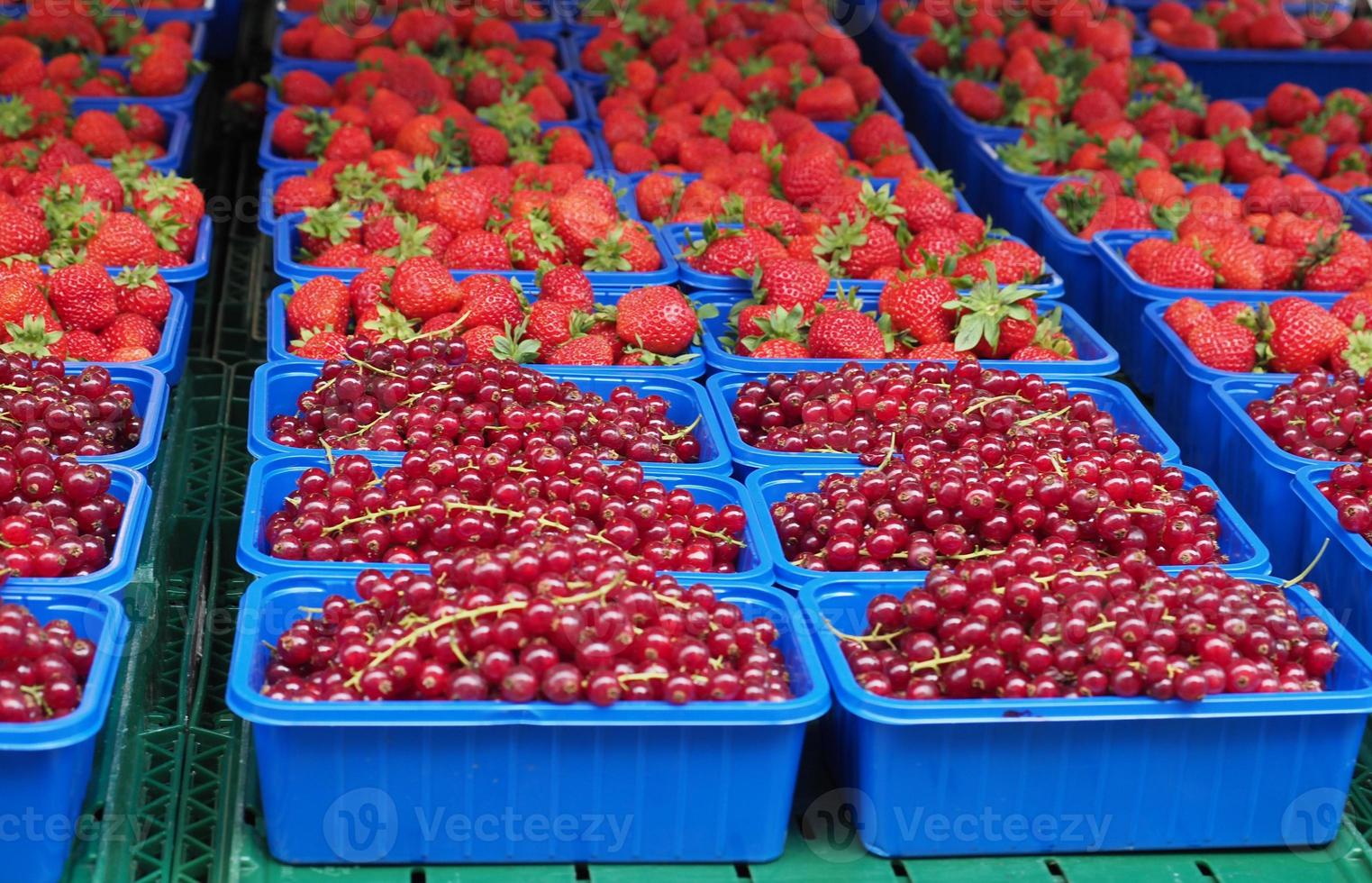 Erdbeere und Johannisbeere auf dem Markt foto