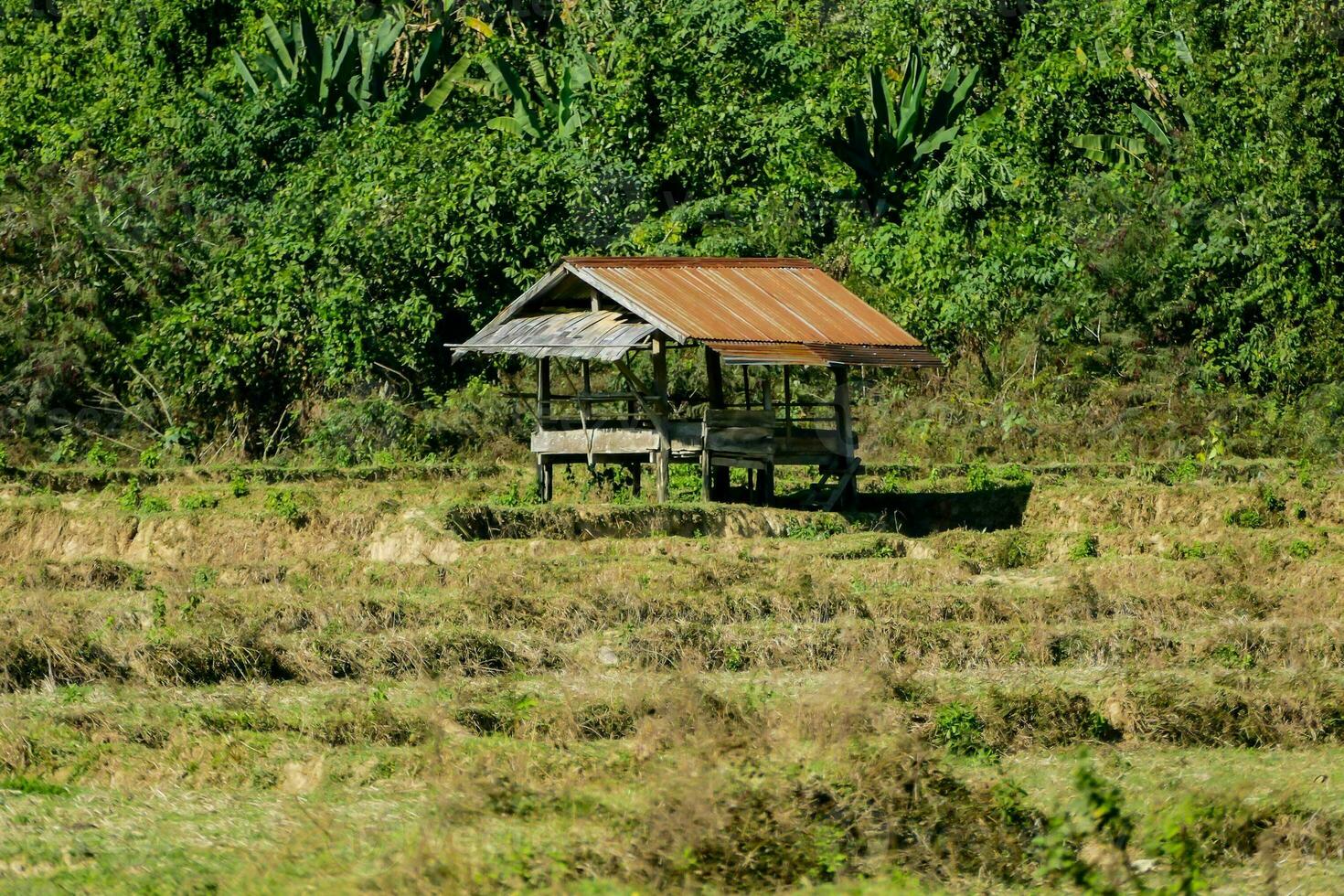 ein Hütte im das Mitte von ein Feld mit Bäume foto