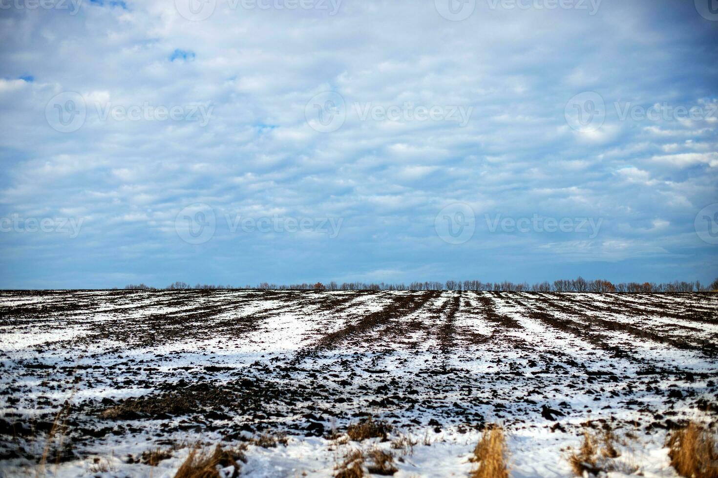 Winter Lanschacht. Land Feld bedeckt im Frost im Beginn von Winter. dramatisch Himmel, bunt Wolkengebilde. Eis Wüste foto