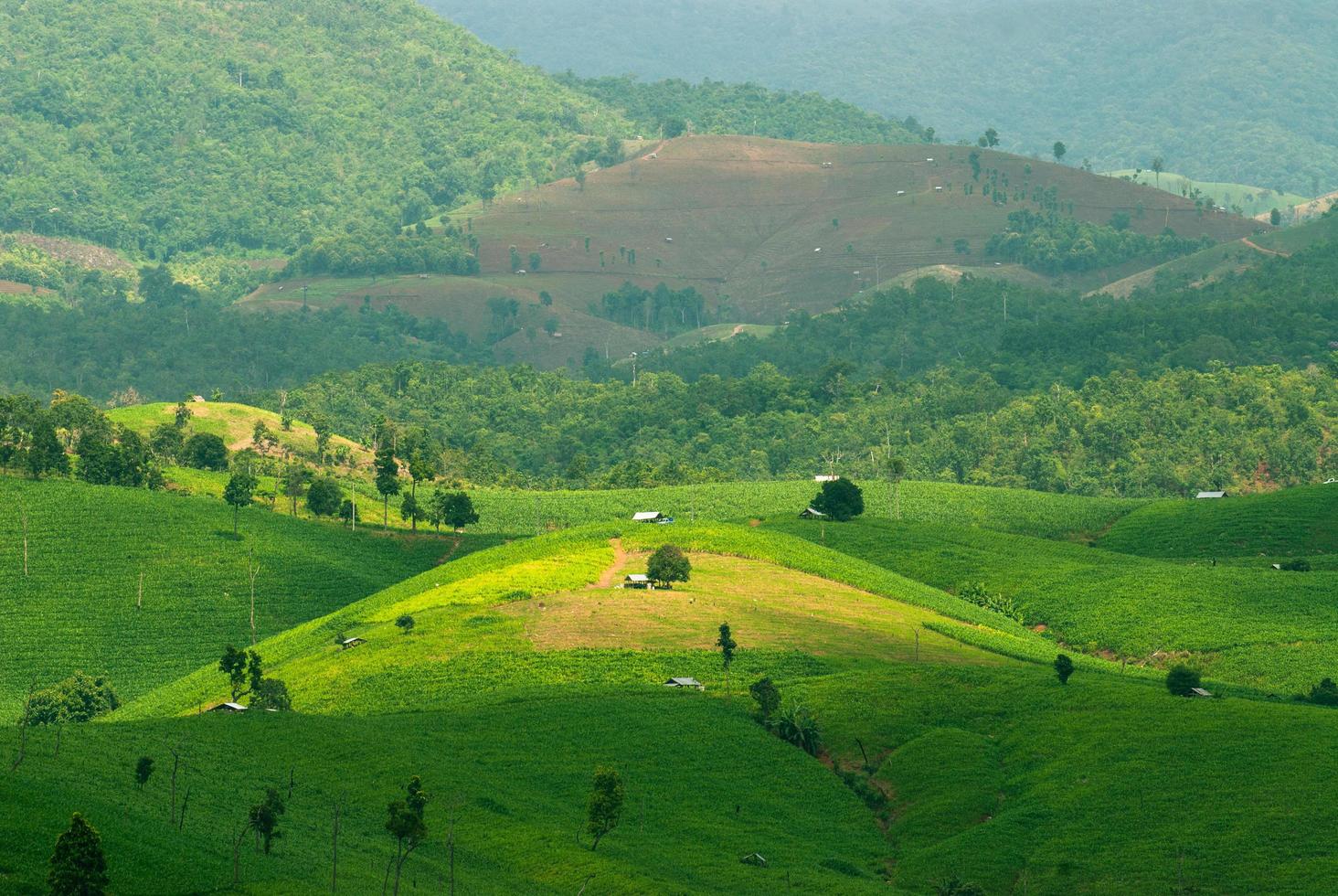 hohe ansicht von reisterrassen mae chaem, chiang mai, nordthailand foto