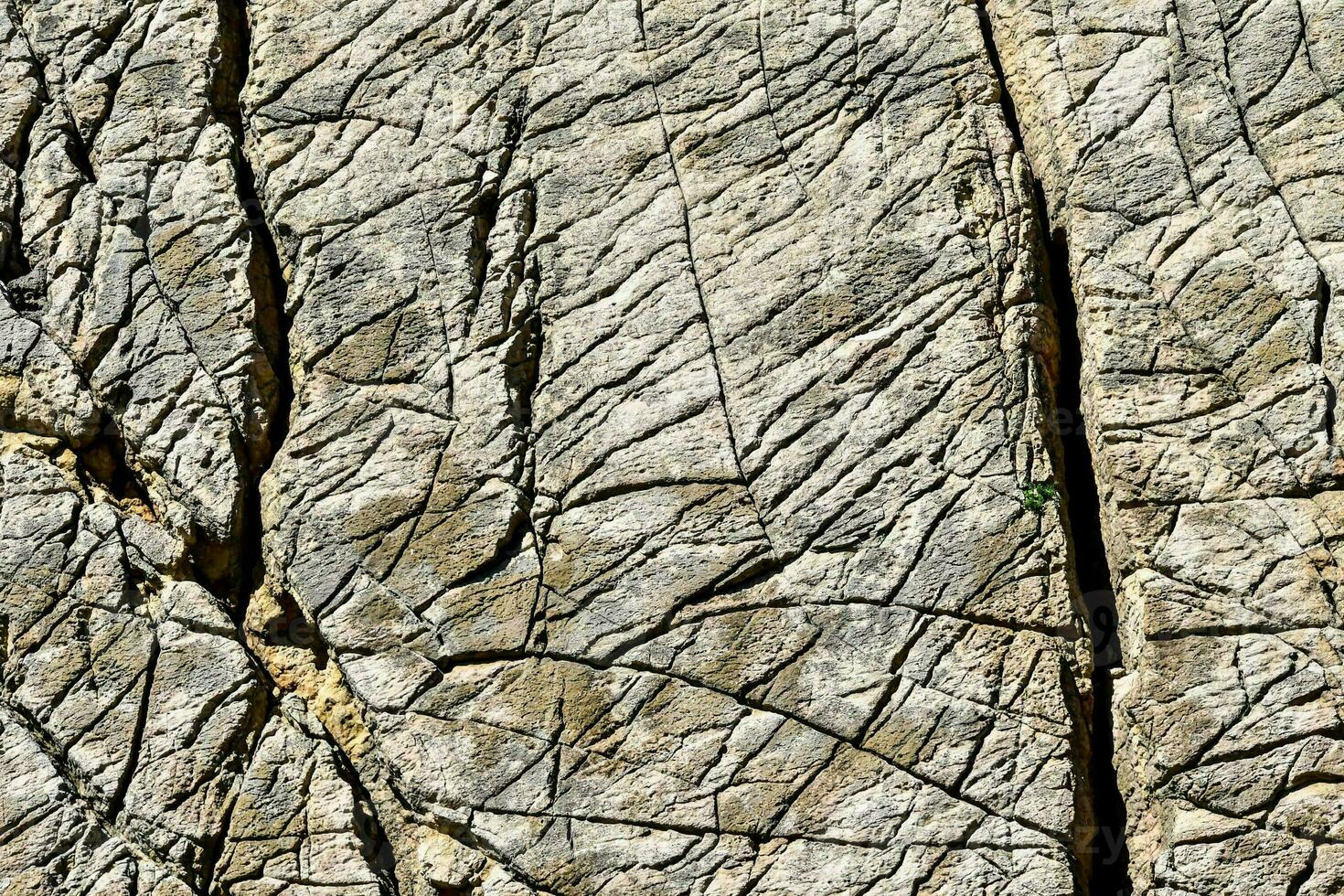 ein schließen oben von ein Felsen Mauer mit Risse foto