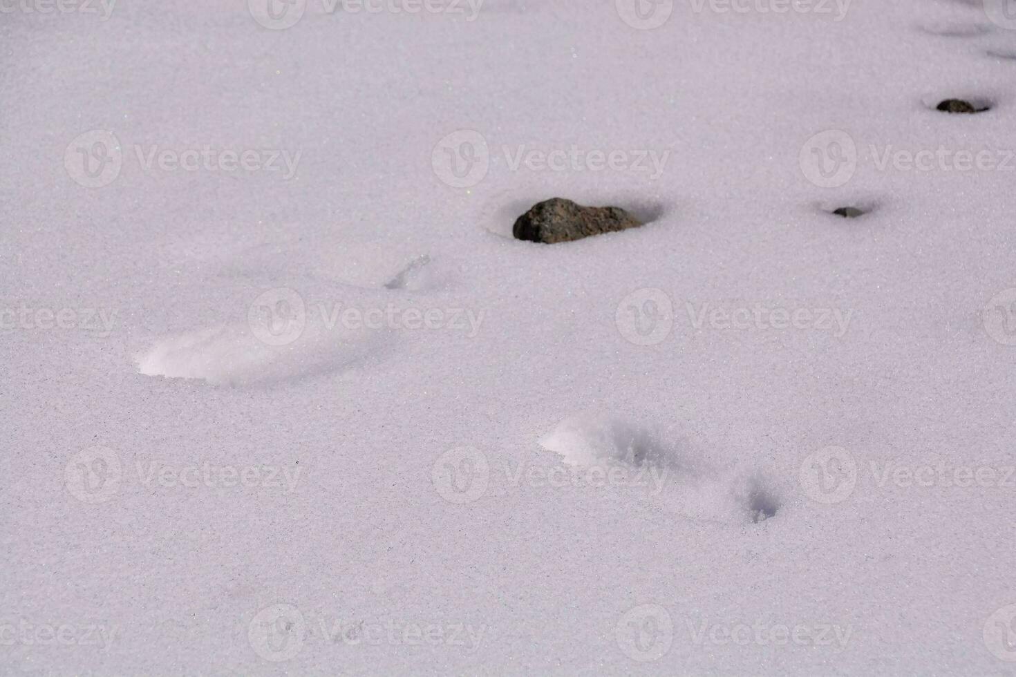 Fußspuren im Schnee foto