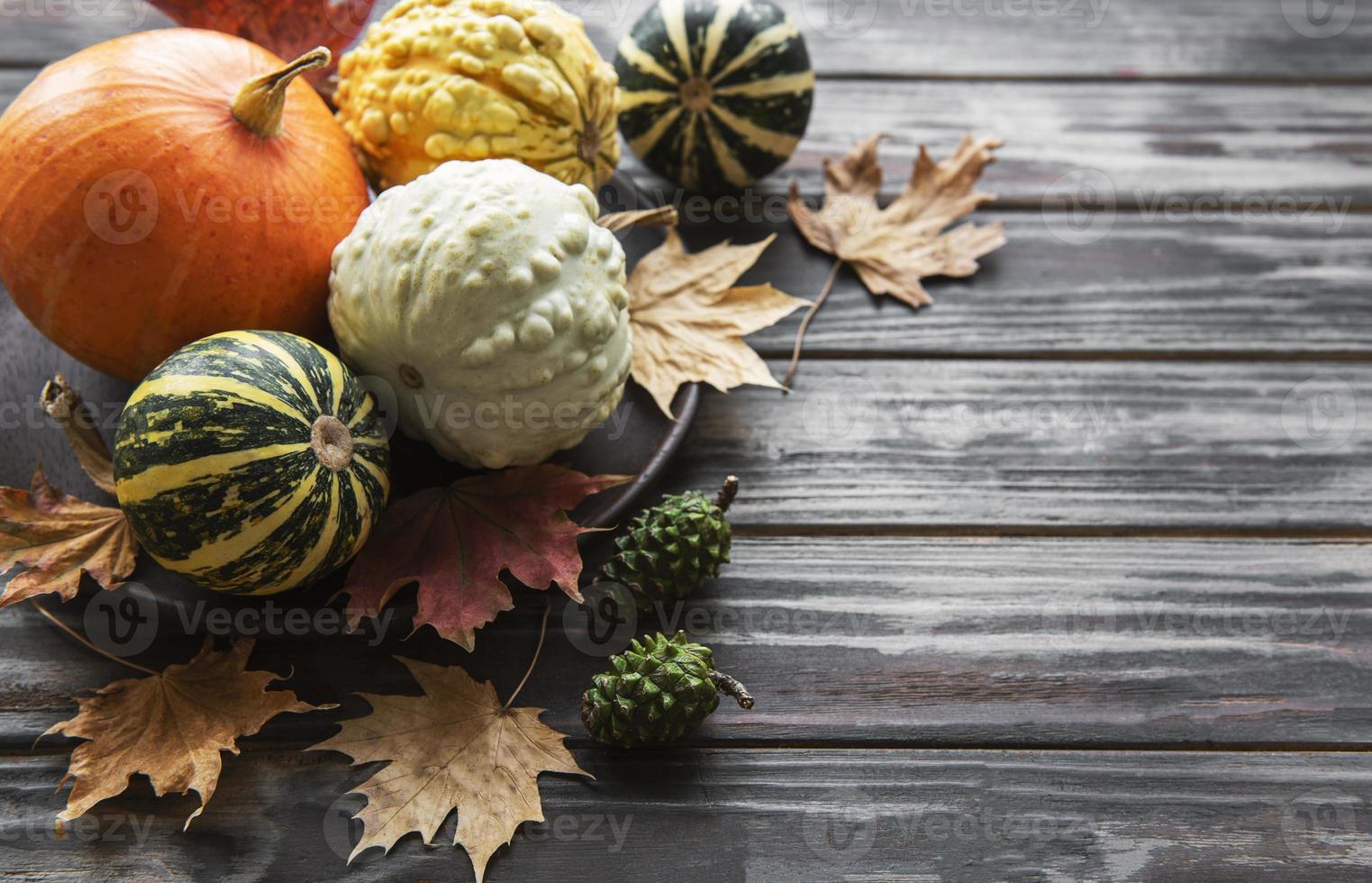 Herbstkomposition mit verschiedenen Kürbissen foto