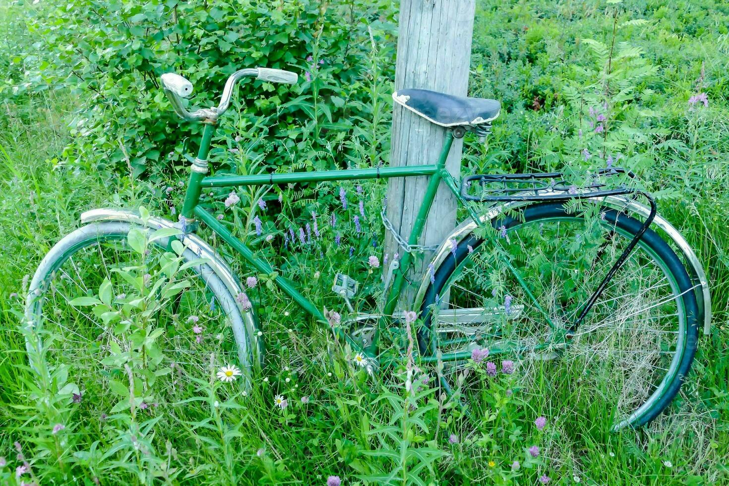 ein alt Grün Fahrrad gelehnt gegen ein Pole im das Gras foto