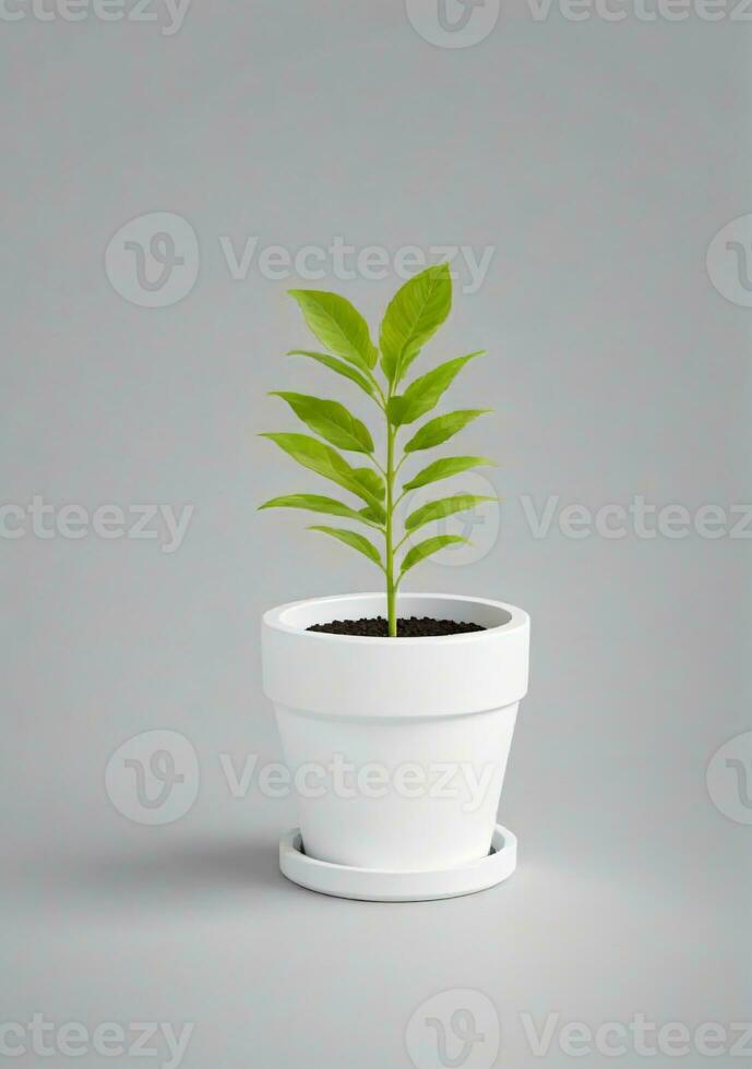Pflanze im Topf isoliert auf ein Weiß Hintergrund. ai generiert foto