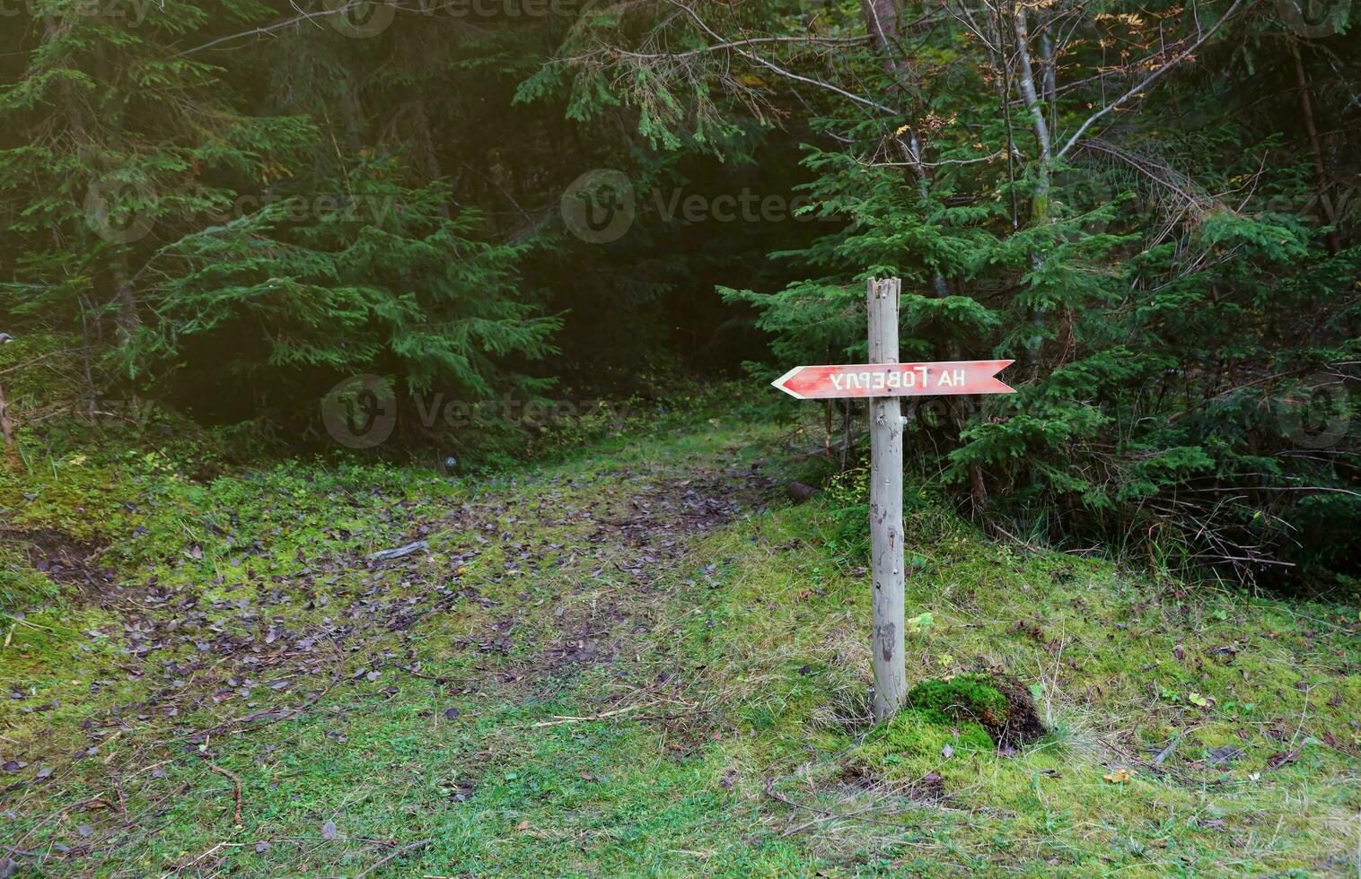 Pfeil Zeichen zu montieren hoverla Richtung hängend Gipfel von ukrainisch Karpaten foto