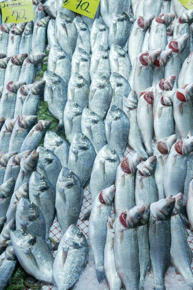 frischer Fisch im Eis im lokalen Marktgeschäft foto