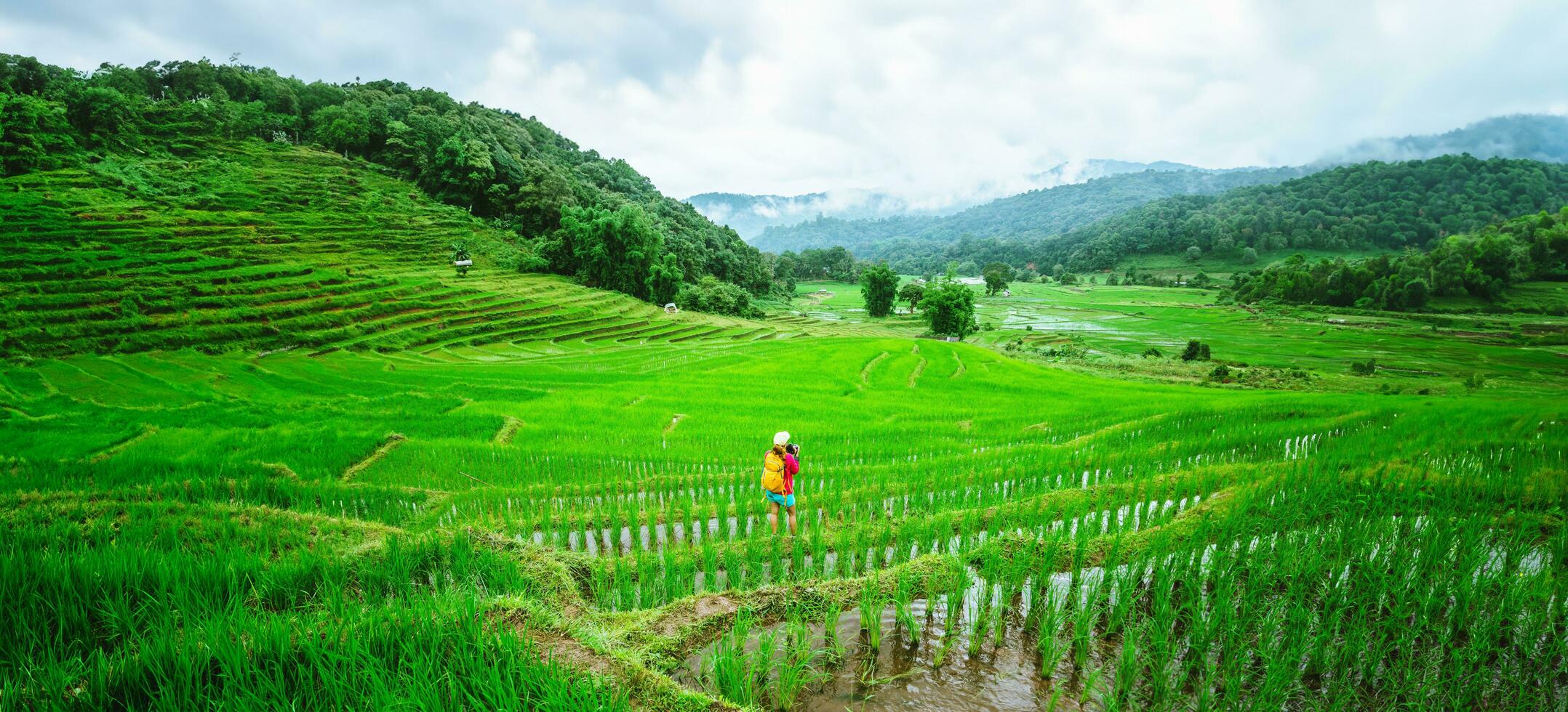 asiatisch Frau Reise Natur. Reise entspannen. Gehen nehmen ein Foto von Reis Felder.regnerisch Jahreszeit im Chiang Mai, Thailand.