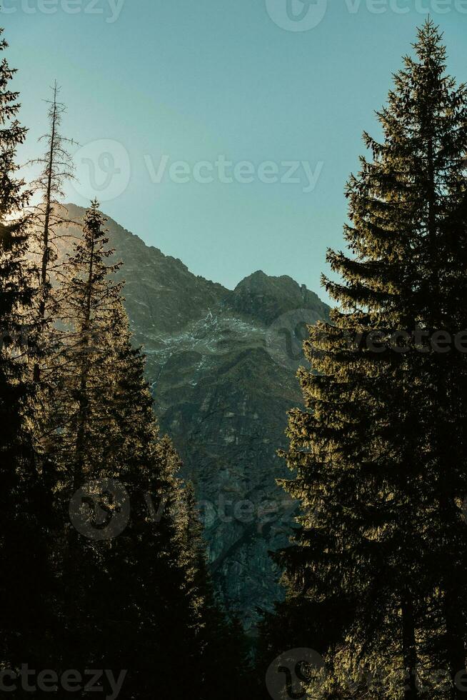 Sonne leuchtenden durch das Bäume mit ein felsig Berg auf das Hintergrund foto