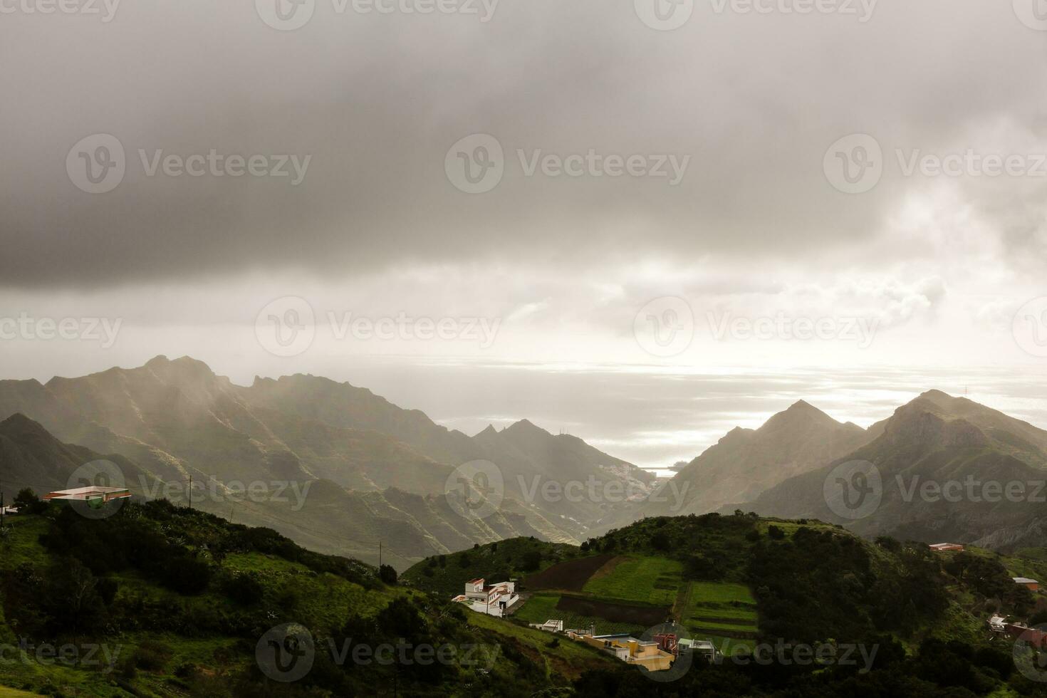 Anaga Norden Wald im Tenerife Insel, Kanarienvogel Inseln, Spanien. foto