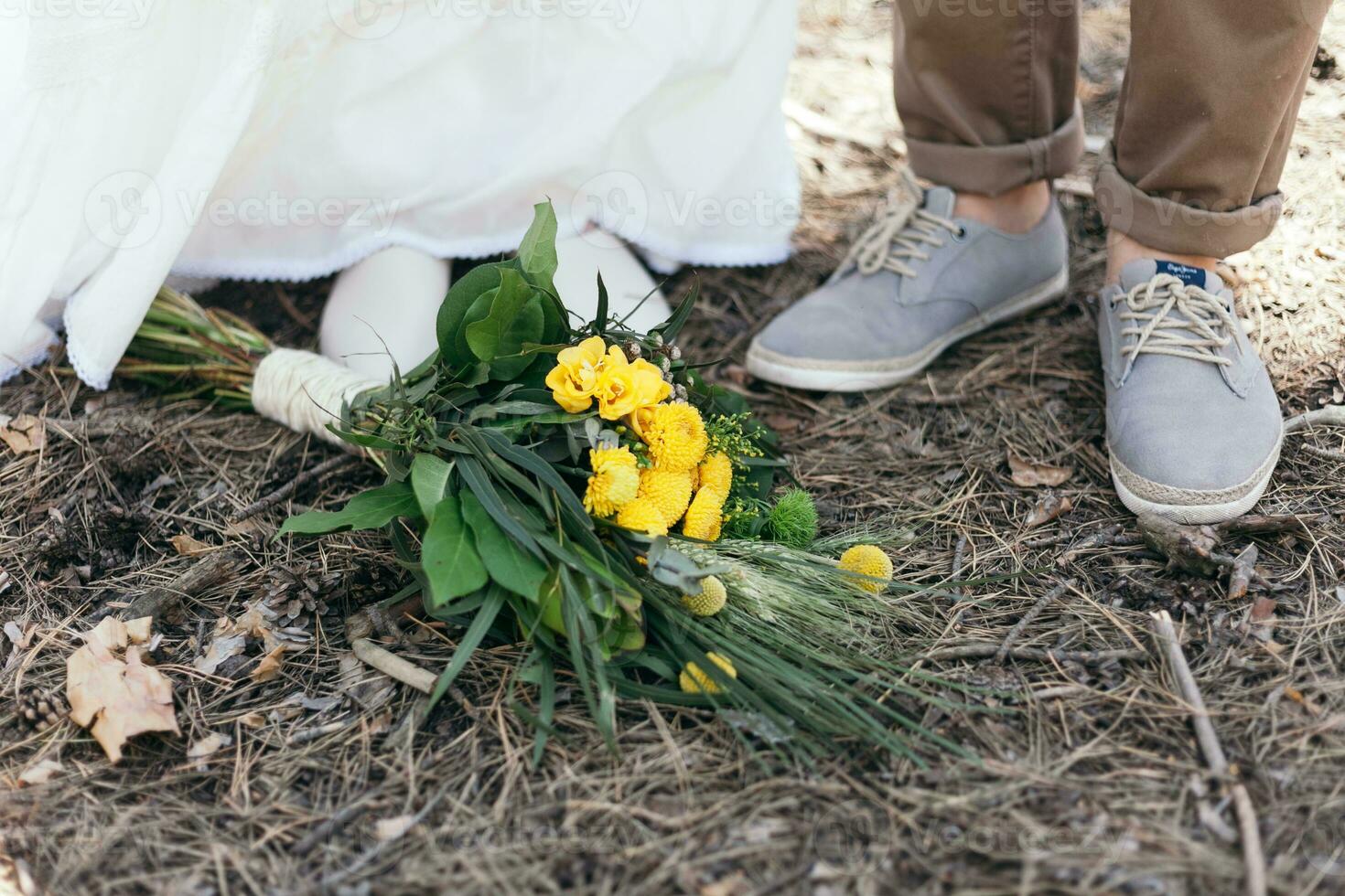 Hochzeit gehen im das Kiefer Wald. sonnig Tag. foto