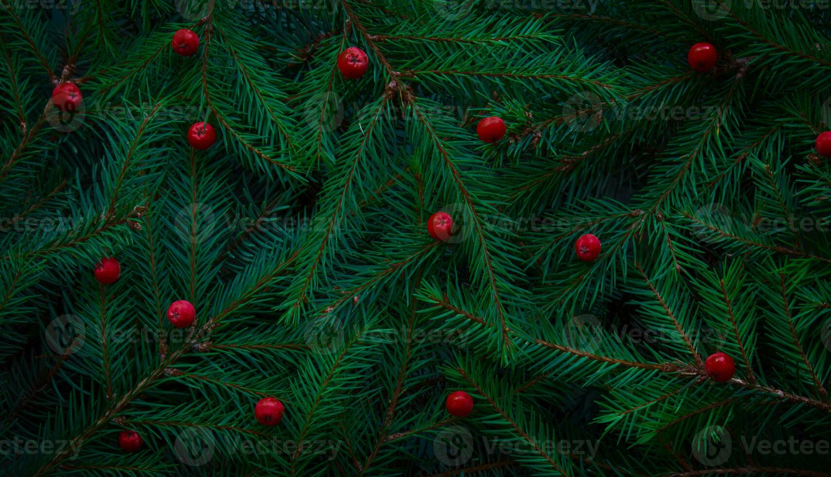 Weihnachten Baum Geäst. Grün natürlich Hintergrund. Weihnachten Hintergrund. foto