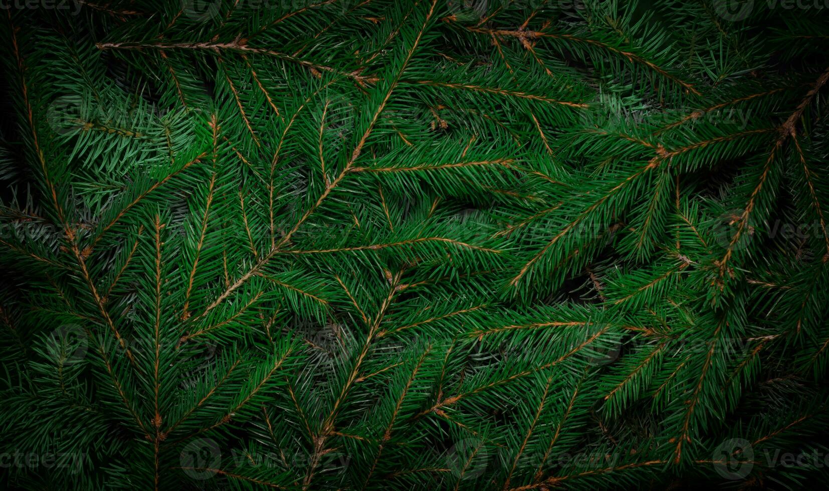 Weihnachten Baum Geäst. Grün natürlich Hintergrund. Weihnachten Hintergrund. Natur Neu Jahr Konzept. foto