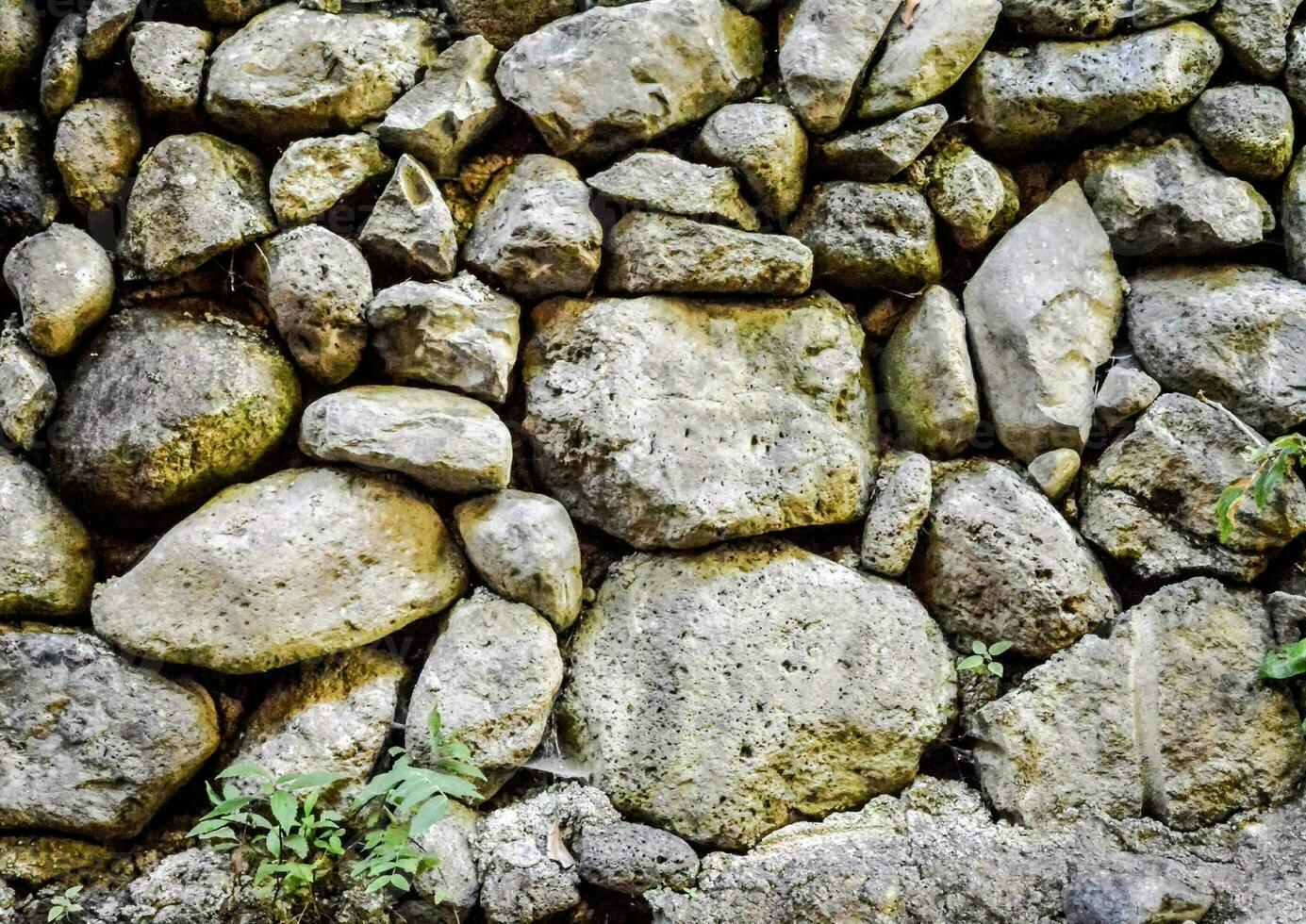 ein Stein Mauer mit viele Felsen und Pflanzen foto