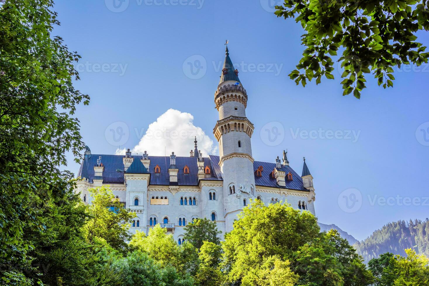 Unterseite Schuss von ein neuschwanstein Schloss zwischen das Bäume foto