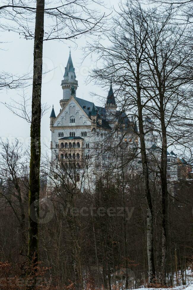 neuschwanstein Schloss Aussicht von das Wald foto