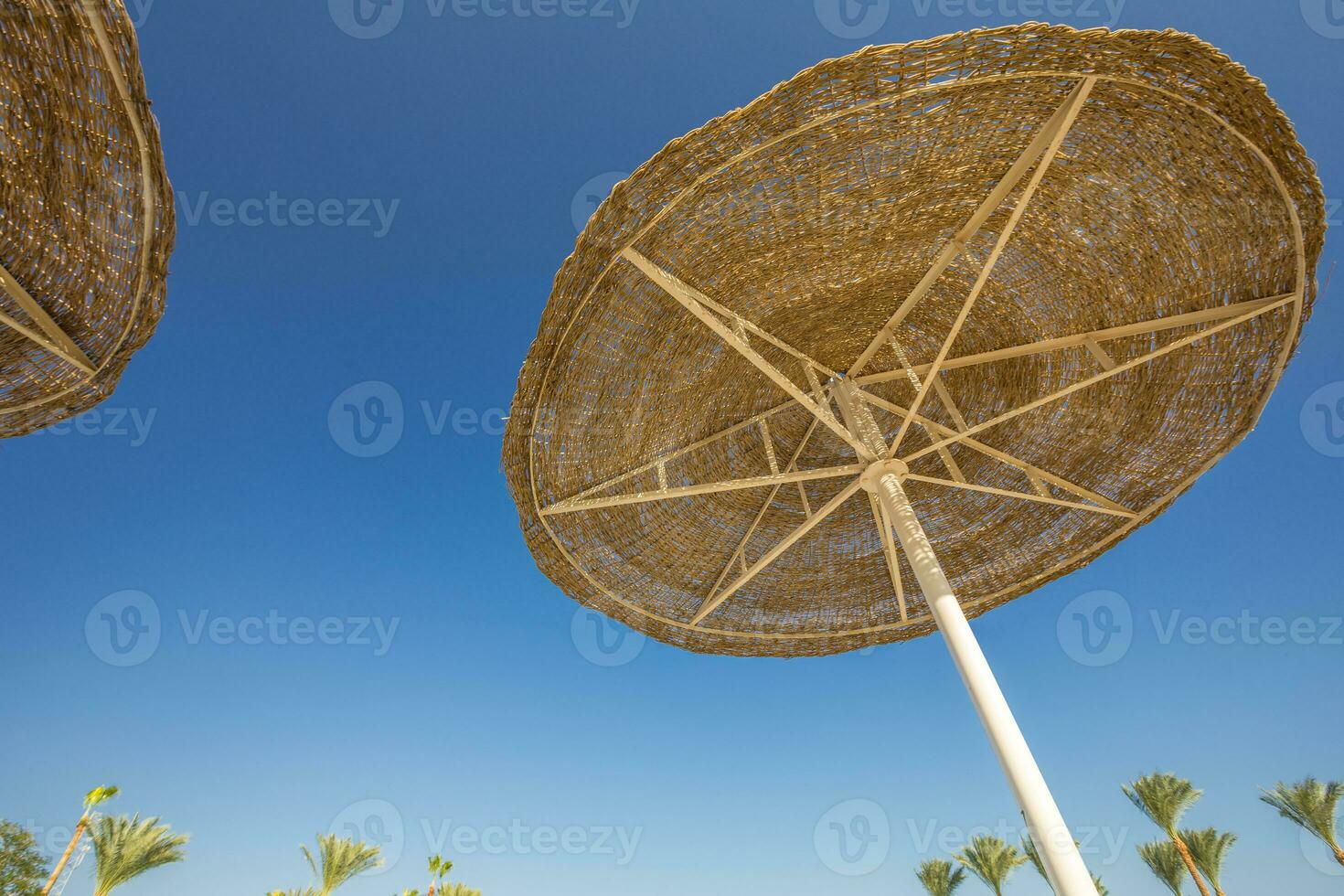 Sonnenschirm Strand Regenschirme gegen Nacht Himmel im Ägypten 22800618  Stock-Photo bei Vecteezy