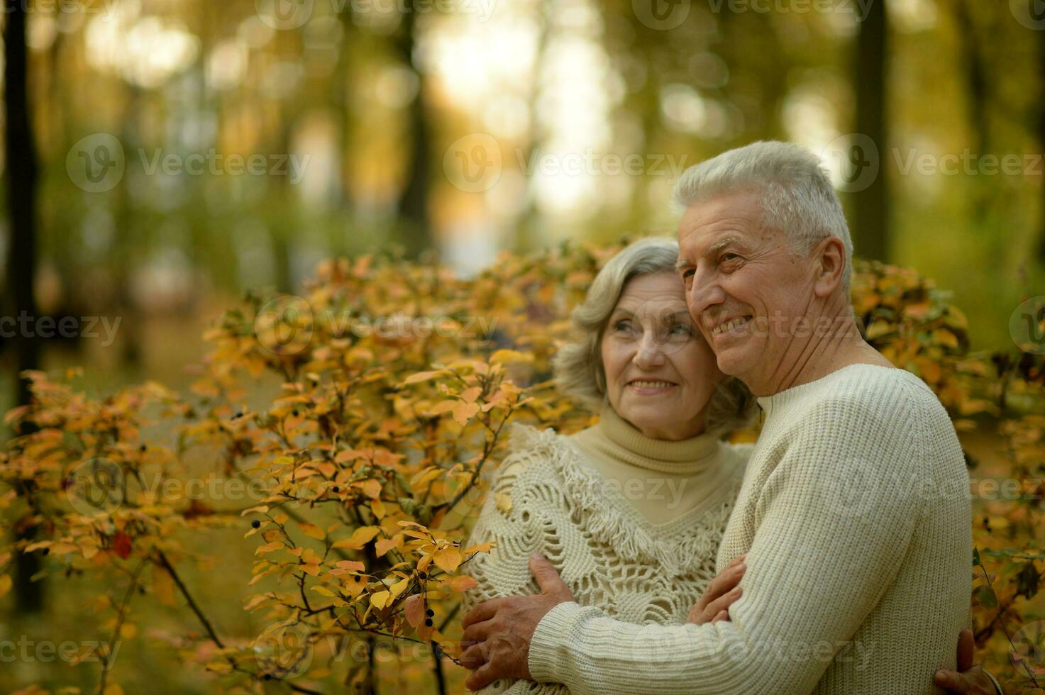 Alten Paar tanzen im das Park im Herbst. foto