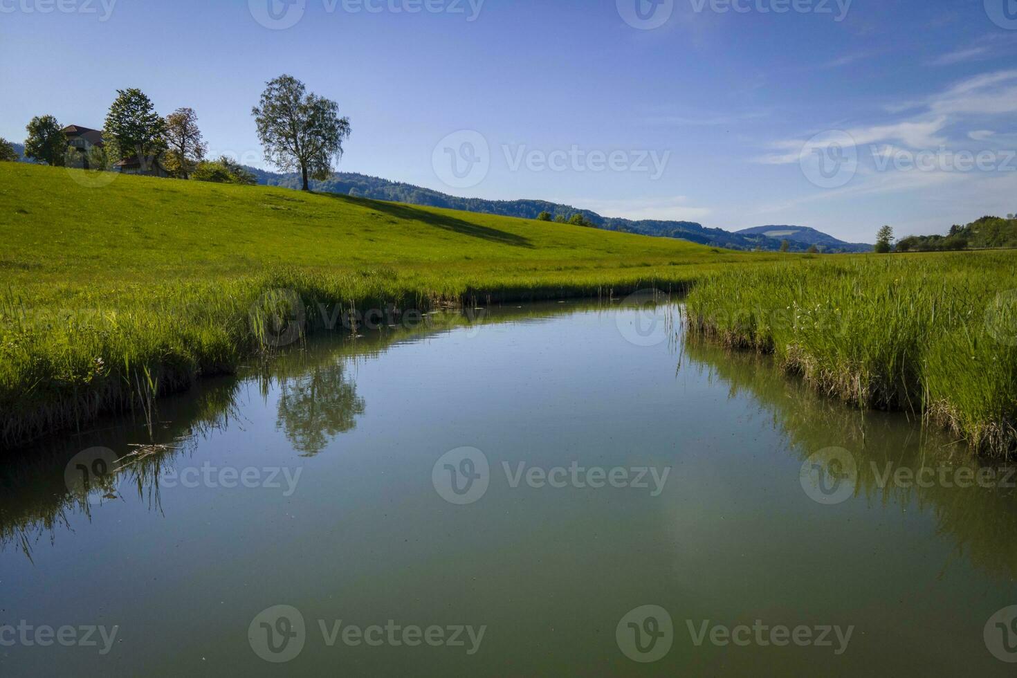 Landschaften beim das wunderbar lokal Erholung Bereich beim das Irrsee im Österreich foto