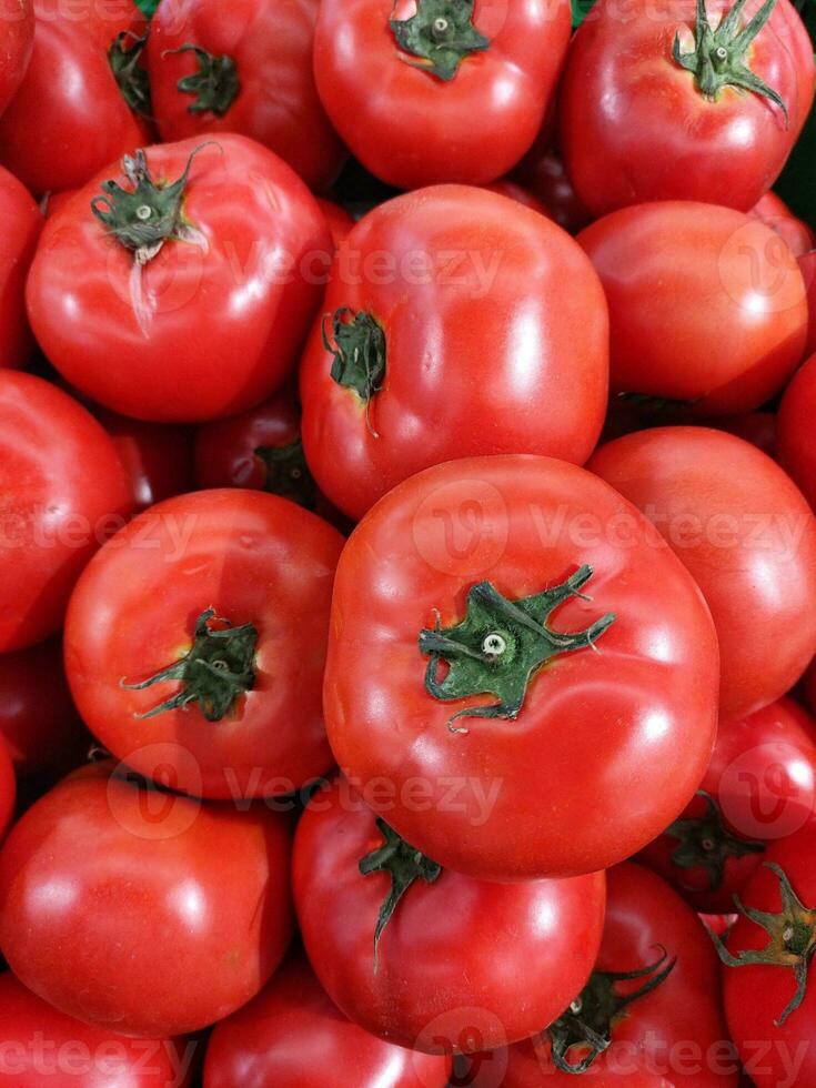 ein fesselnd Blick in das Welt von Tomaten foto