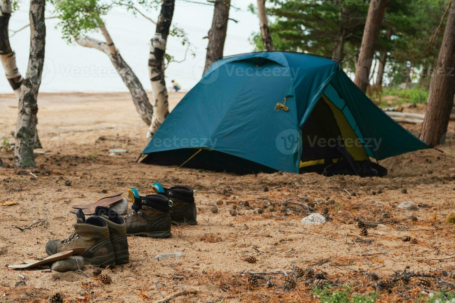 Wandern Tourismus Abenteuer. Camping Picknick Blau Zelt Campingplatz im draussen Wandern Wald. touristisch Stiefel in der Nähe von Camping Zelt. Campingplatz im Natur beim Sommer- Ausflug Lager. Trekking Reise Ferien Konzept. foto