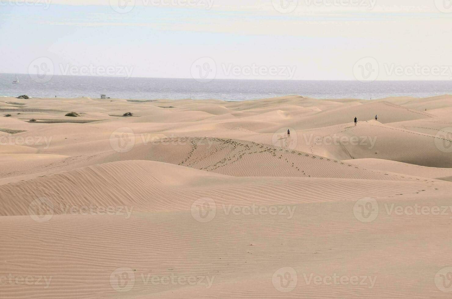 Menschen Gehen auf das Sand Dünen in der Nähe von das Ozean foto