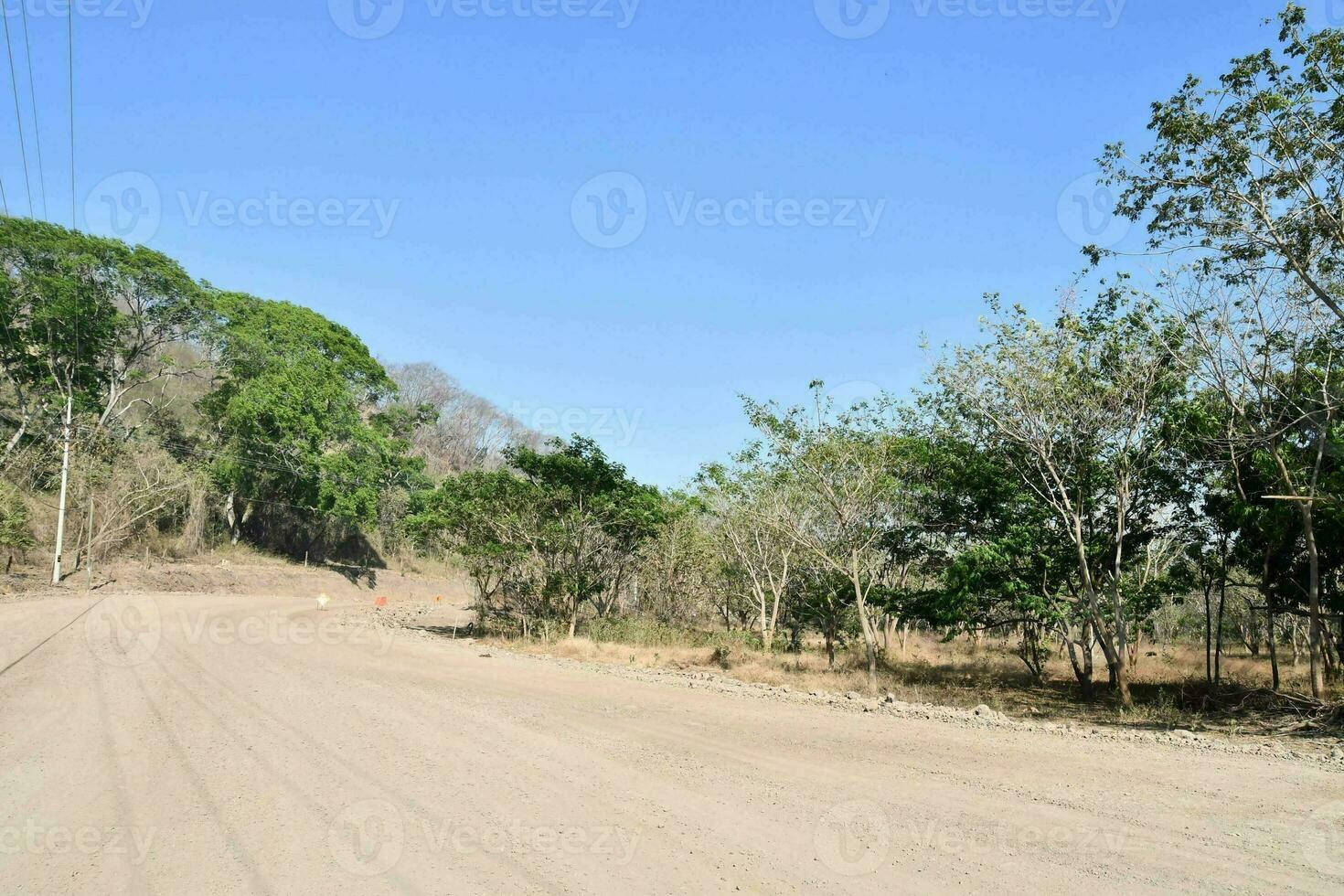 ein Schmutz Straße mit Bäume und Leistung Linien im das Hintergrund foto