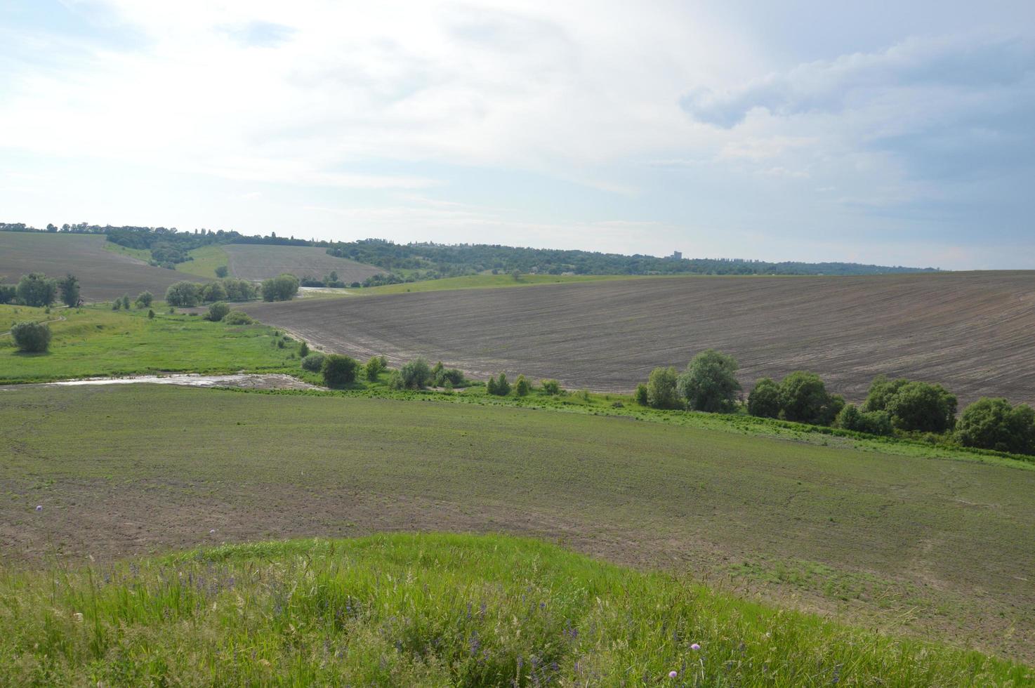 ein gepflügtes Feld in den Hügeln foto