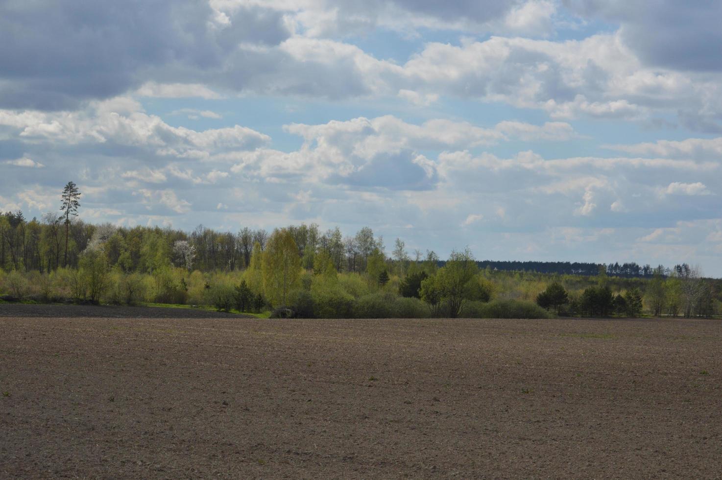 Panorama eines Frühlingsfeldes, das von einem Traktor gejätet wurde foto