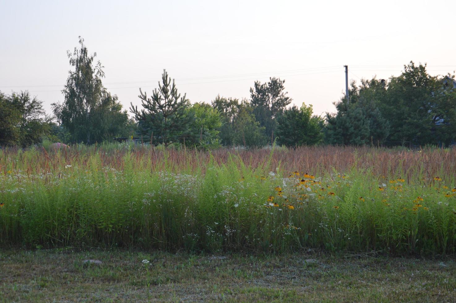 Panorama der Umgebung im Dorf foto