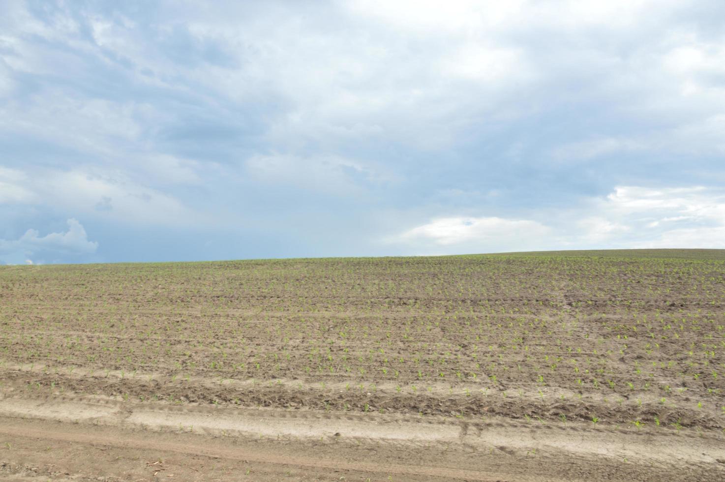 ein gepflügtes Feld in den Hügeln foto