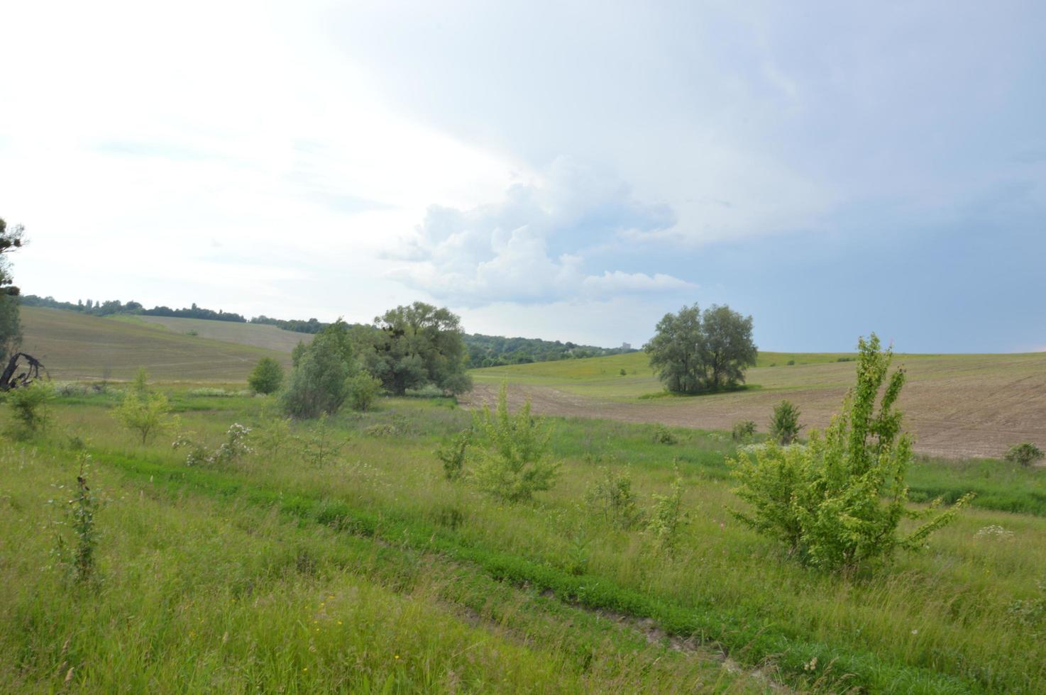 grüne Hügel im Dorf foto