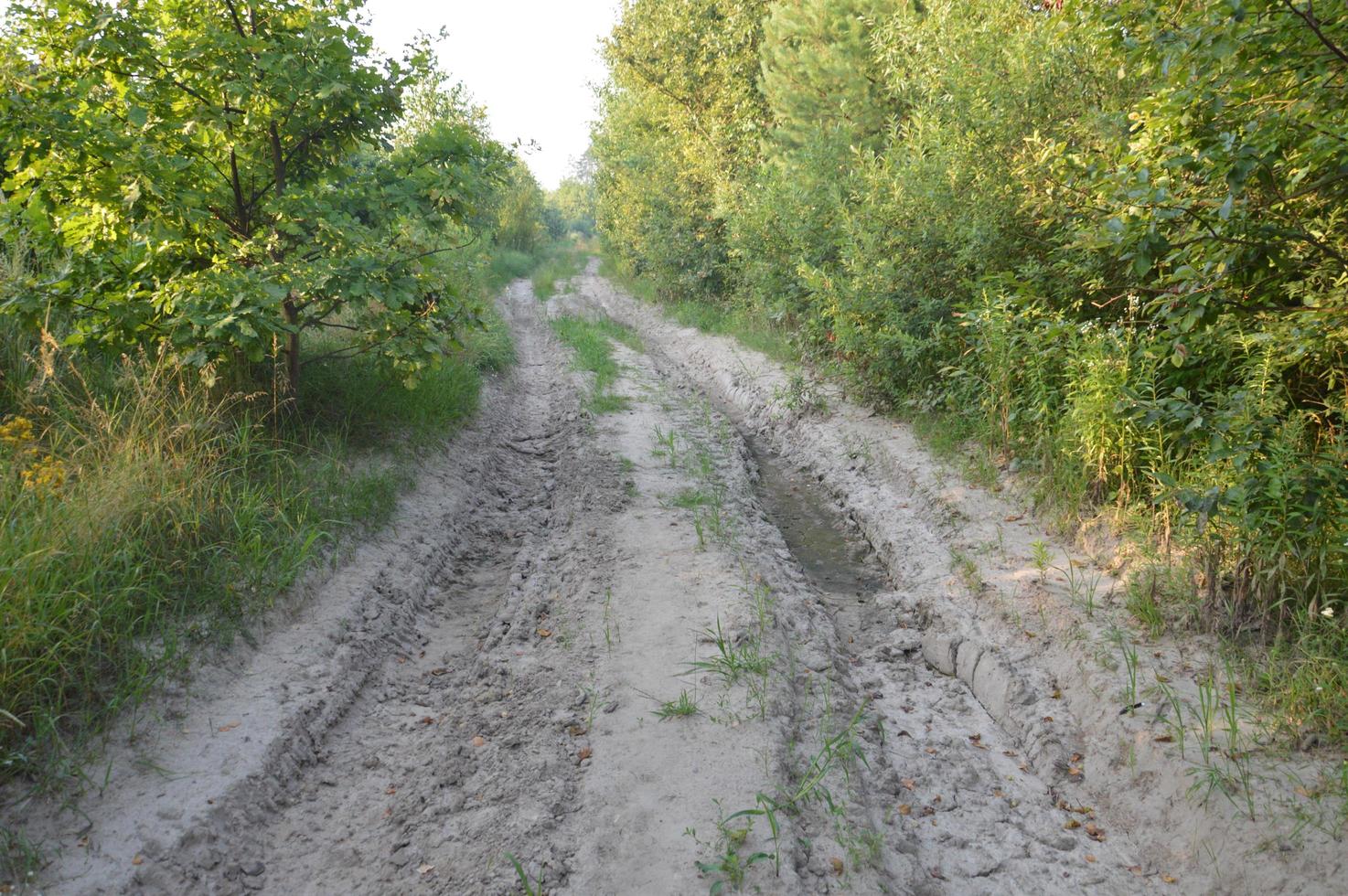 LKW-Spuren in Waldlandstraße abseits der Straße foto